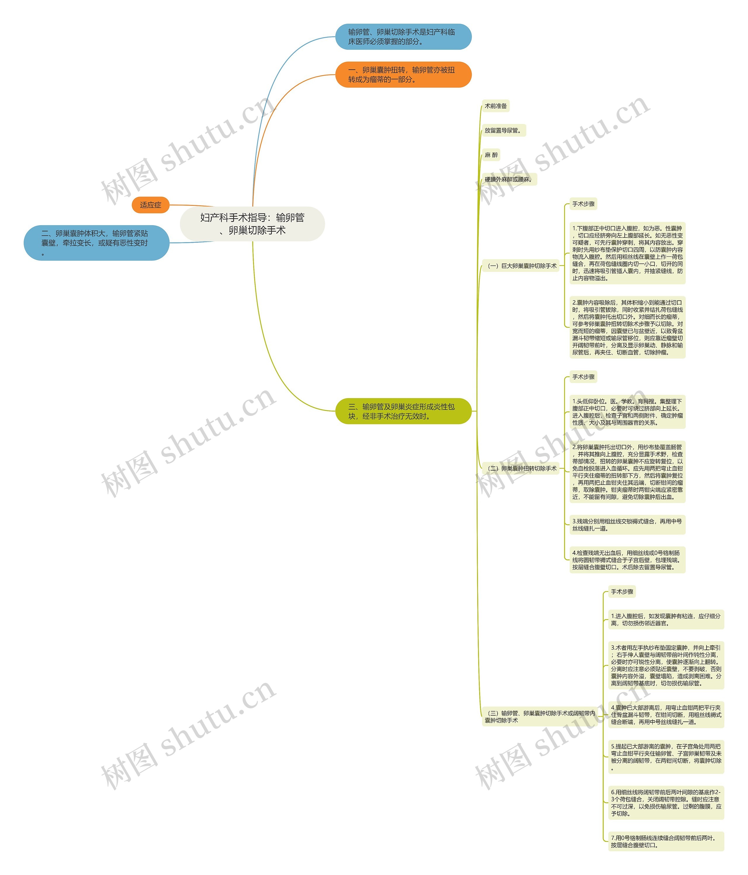 妇产科手术指导:输卵管、卵巢切除手术 妇产科手术指导:输卵管、卵巢切除手术