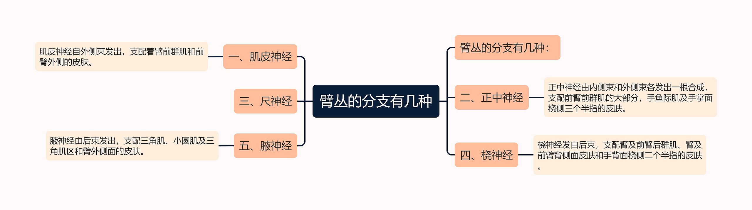 臂丛的分支有几种