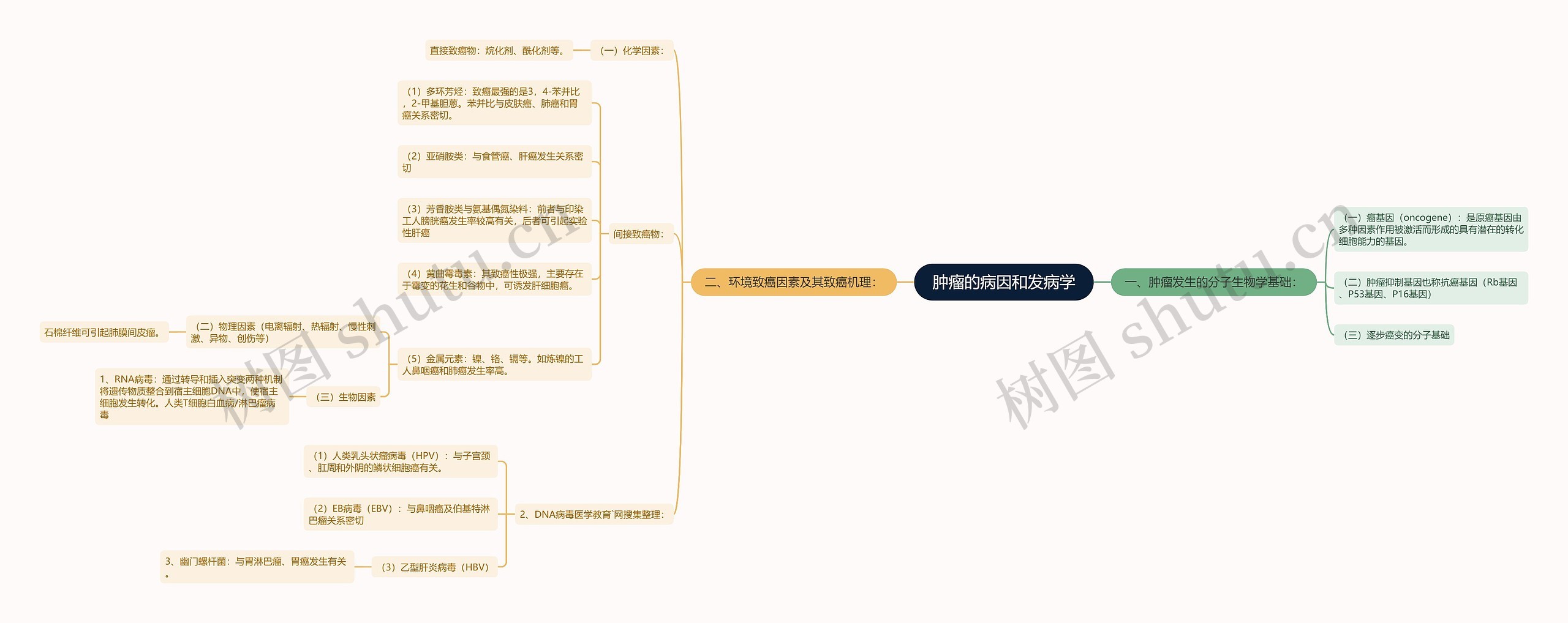 肿瘤的病因和发病学