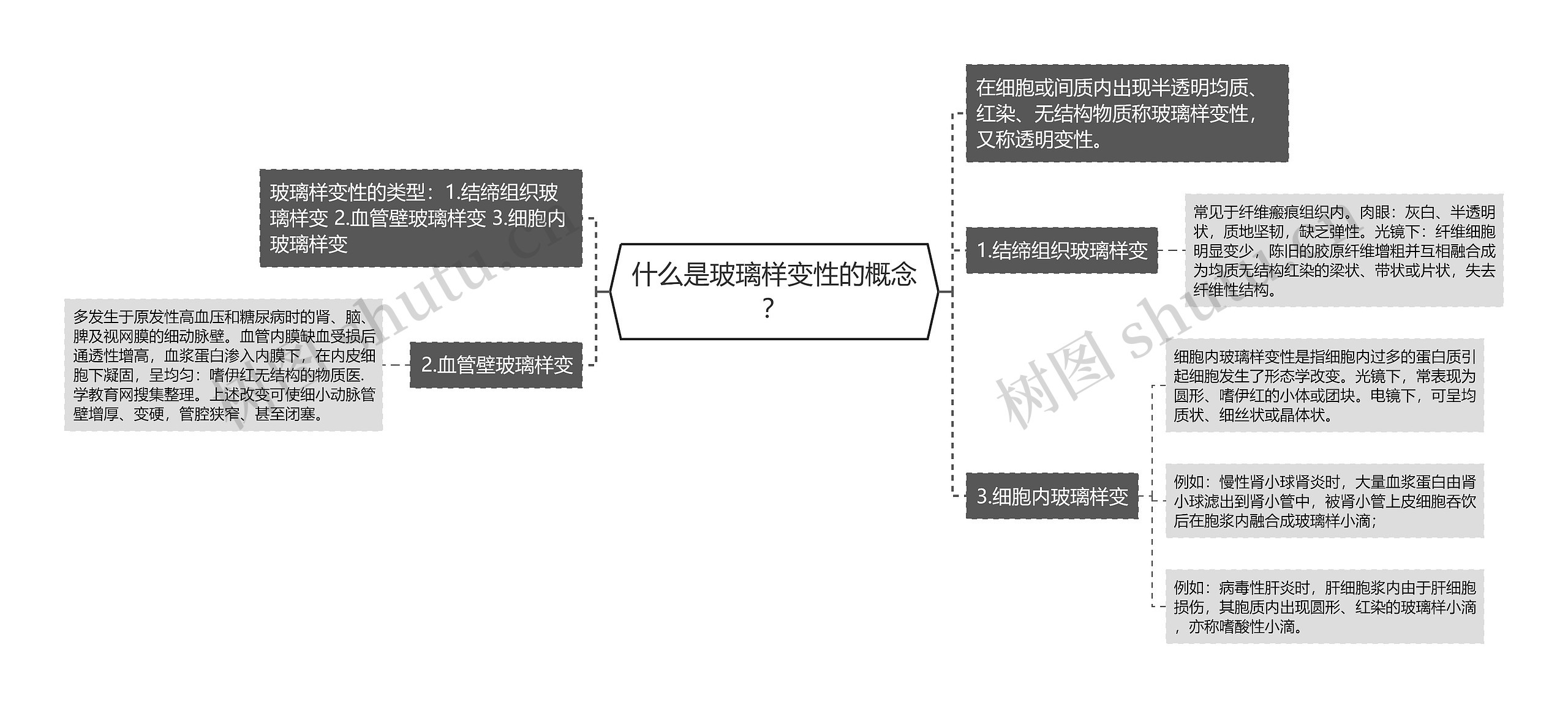 什么是玻璃样变性的概念？思维导图