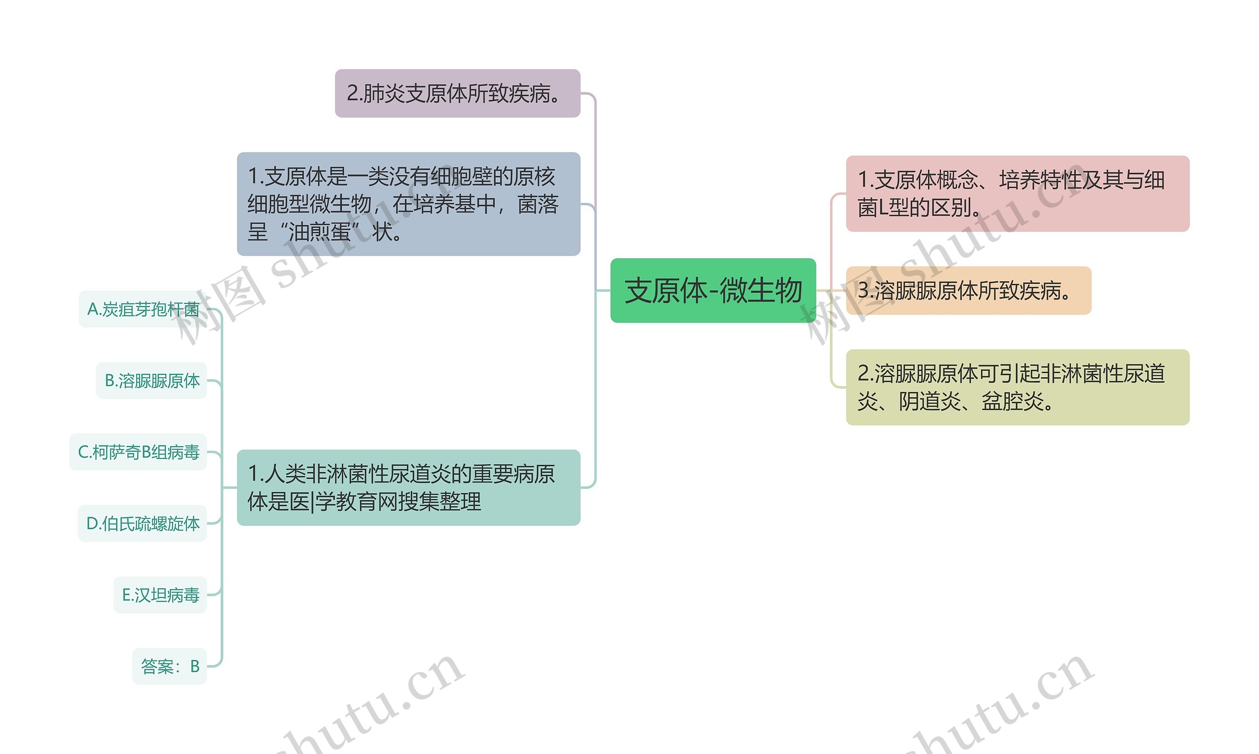 支原体-微生物思维导图