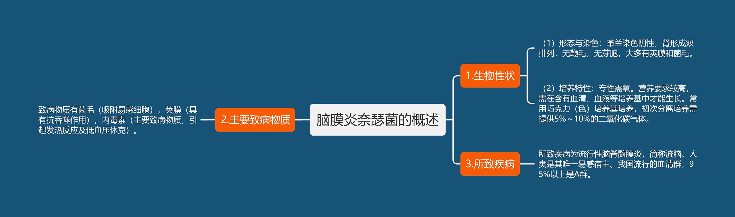 脑膜炎奈瑟菌的概述思维导图