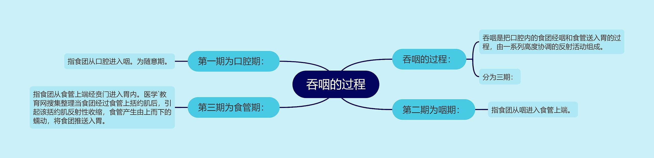 吞咽的过程 吞咽的过程