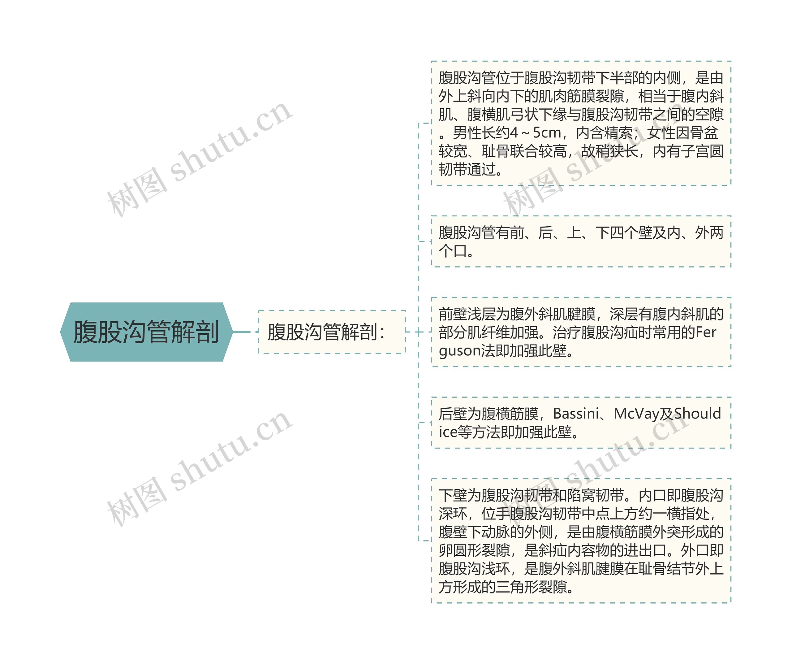 腹股沟管解剖思维导图