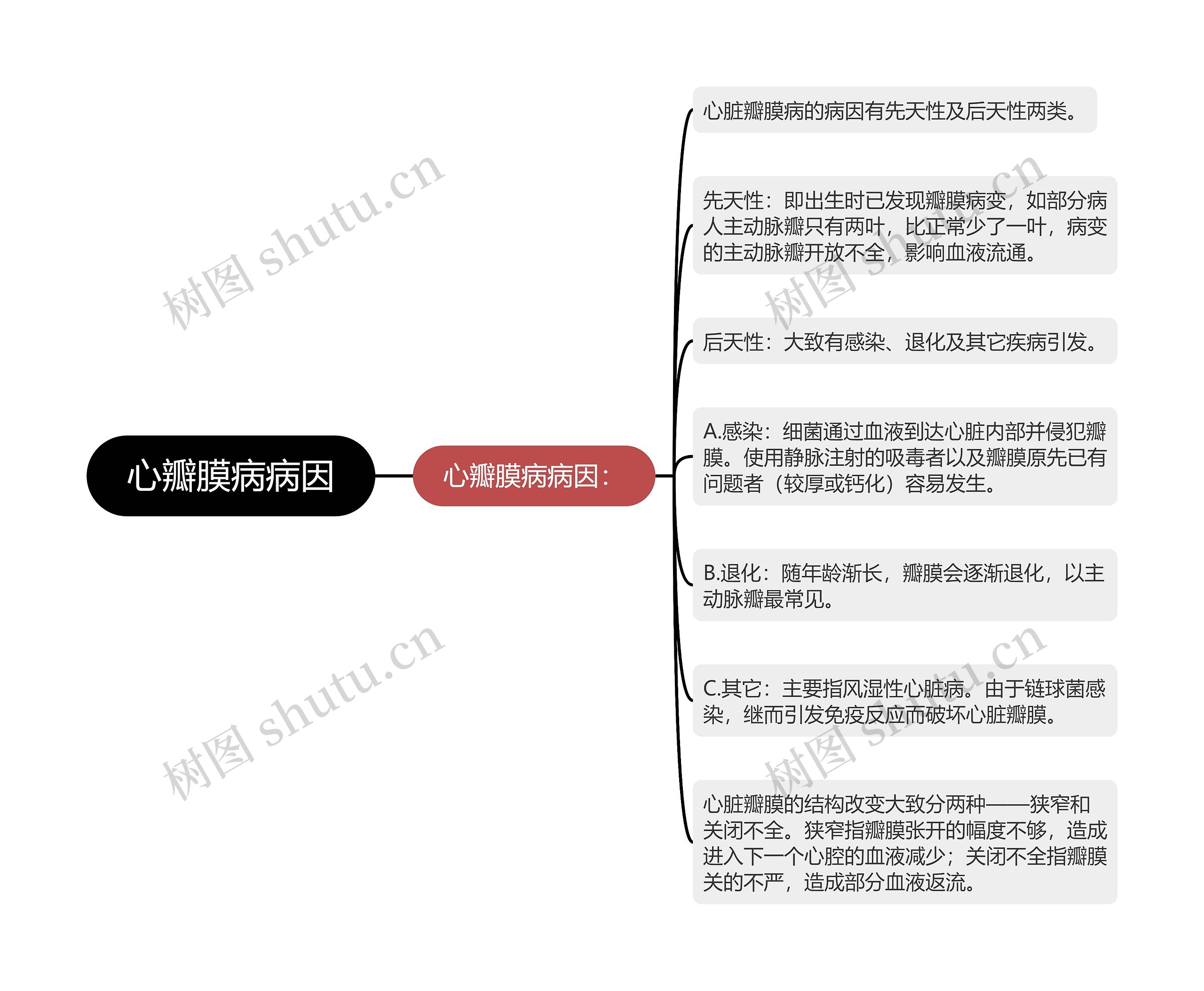 心瓣膜病病因思维导图