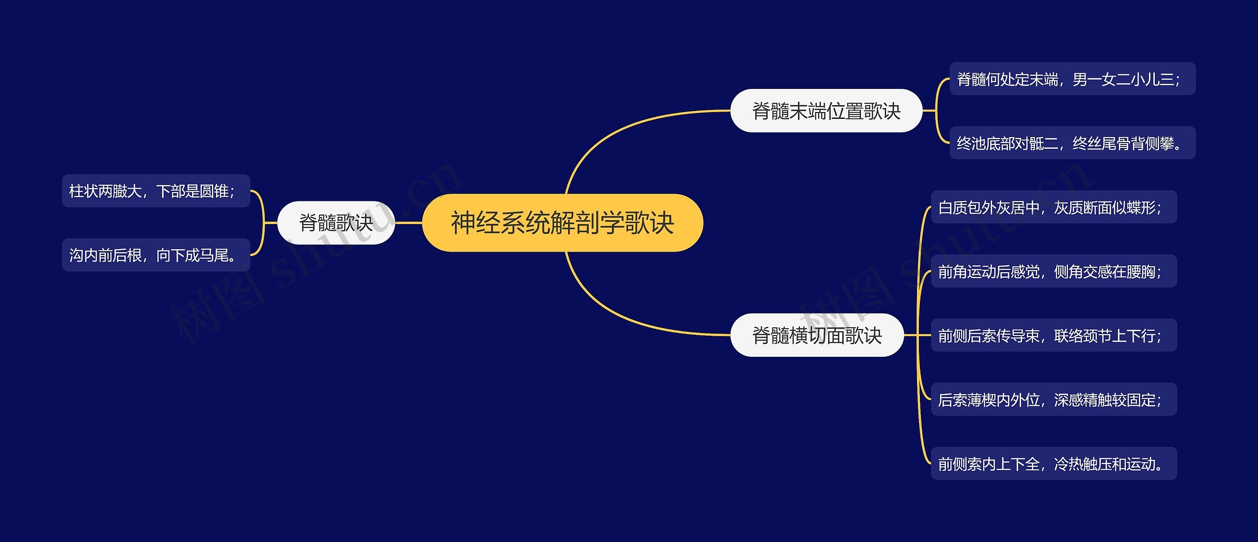 神经系统解剖学歌诀