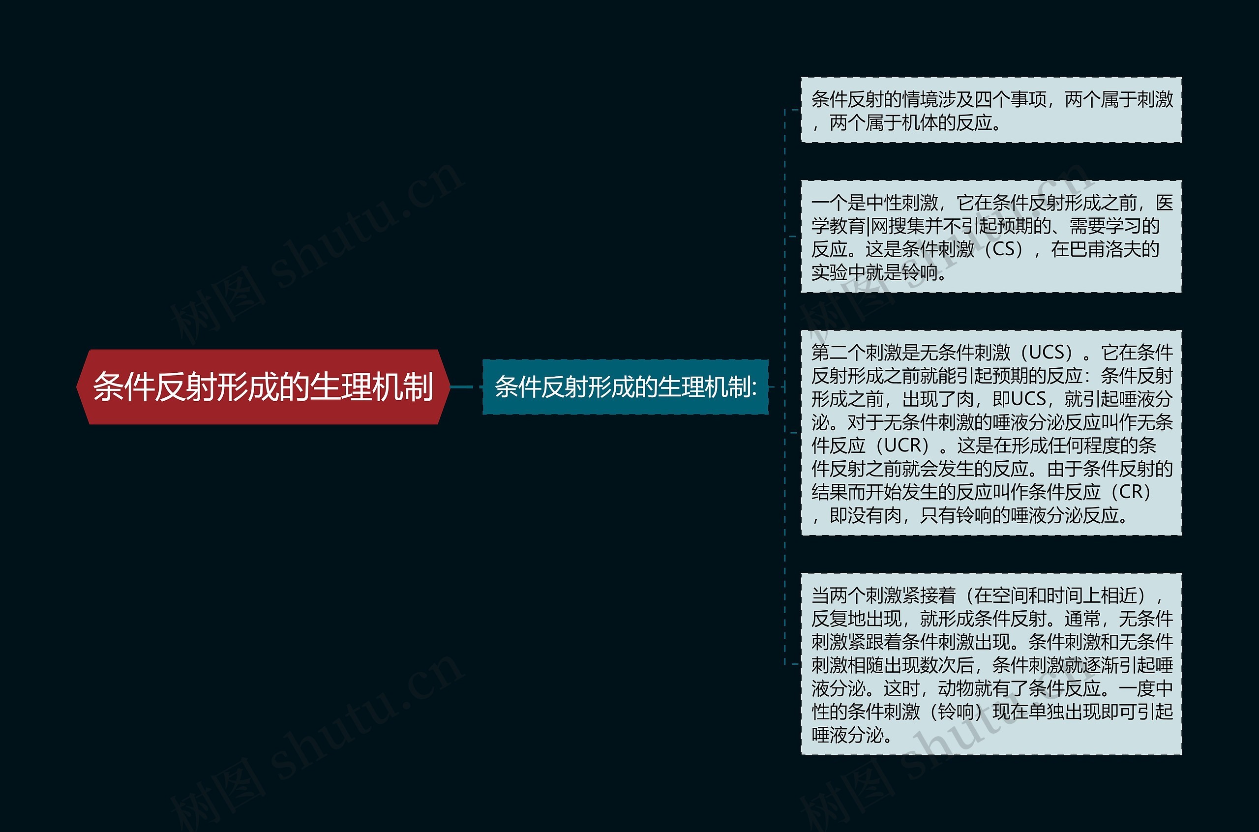 条件反射形成的生理机制 条件反射形成的生理机制