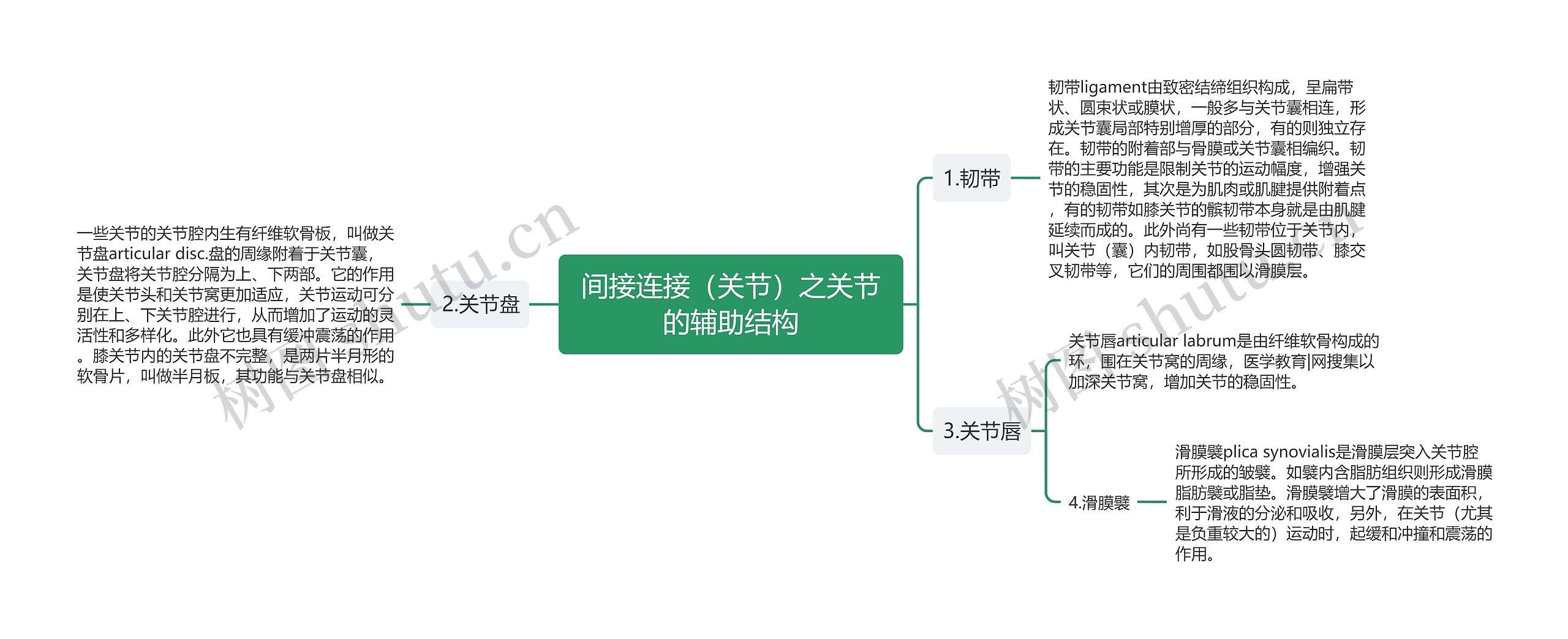 间接连接（关节）之关节的辅助结构思维导图