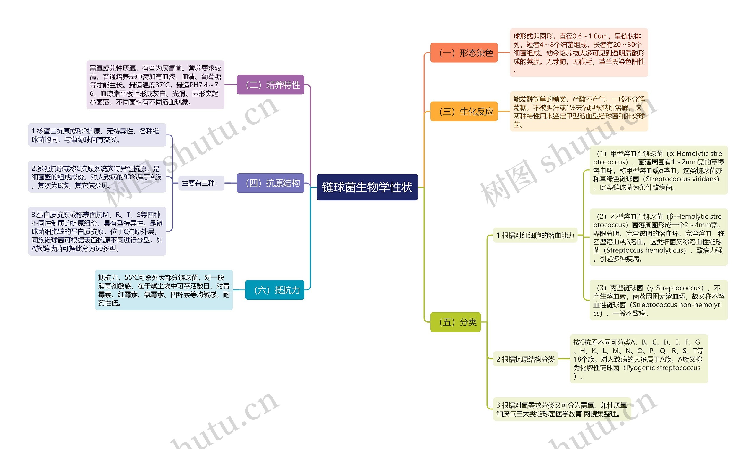 链球菌生物学性状