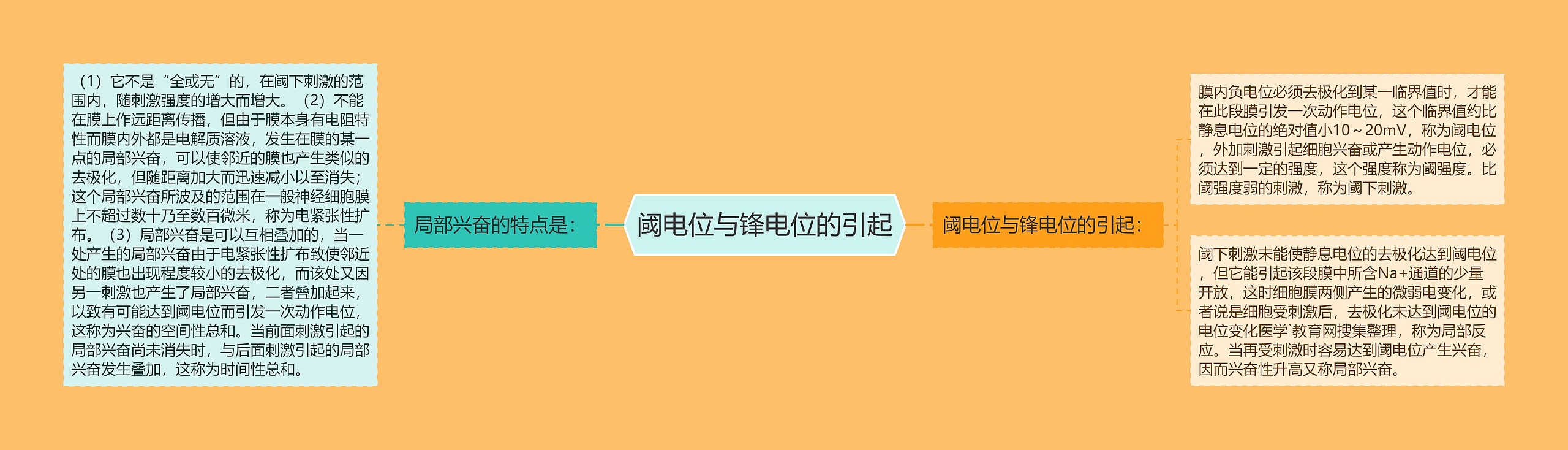 阈电位与锋电位的引起 阈电位与锋电位的引起