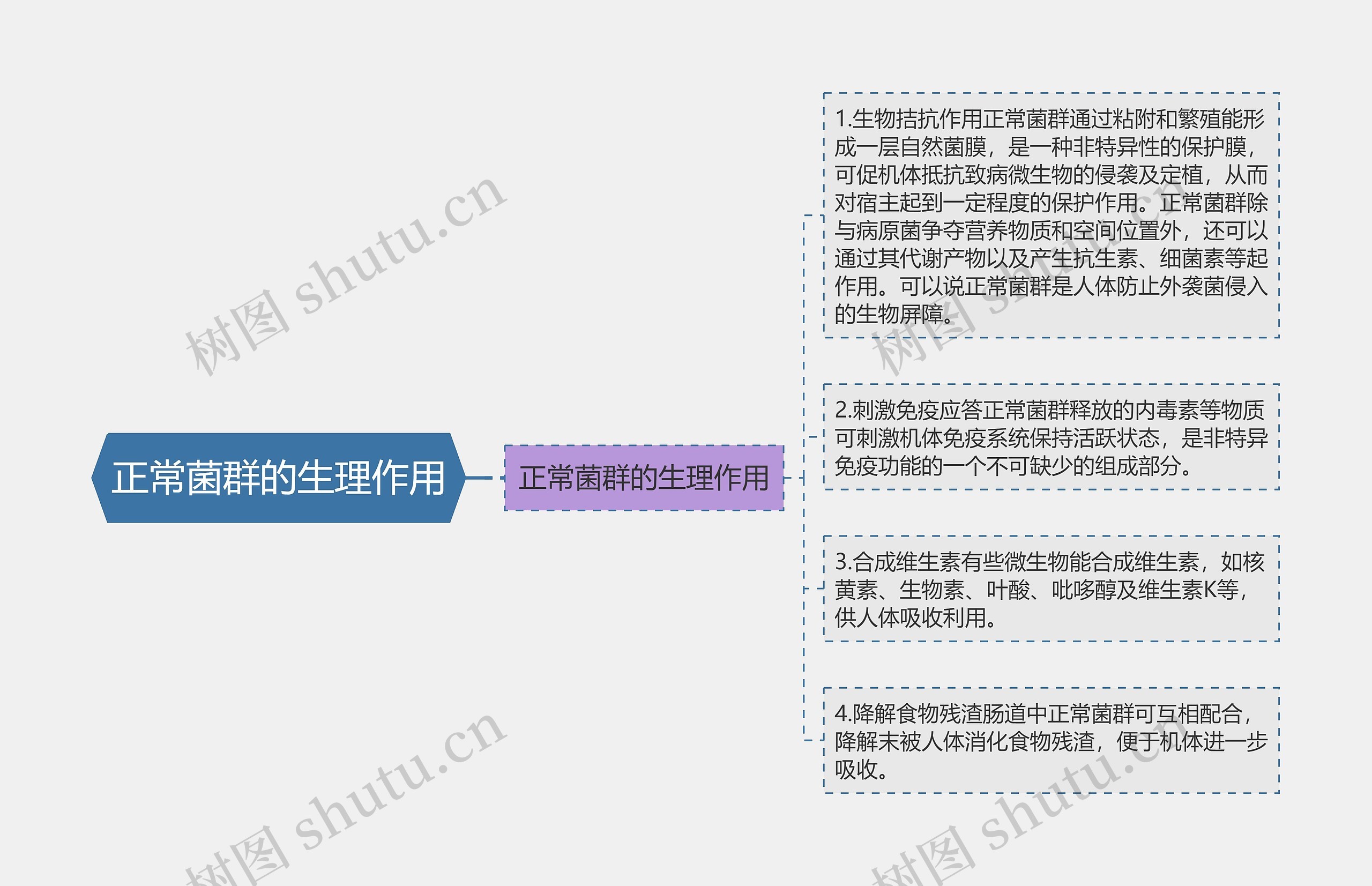 正常菌群的生理作用思维导图