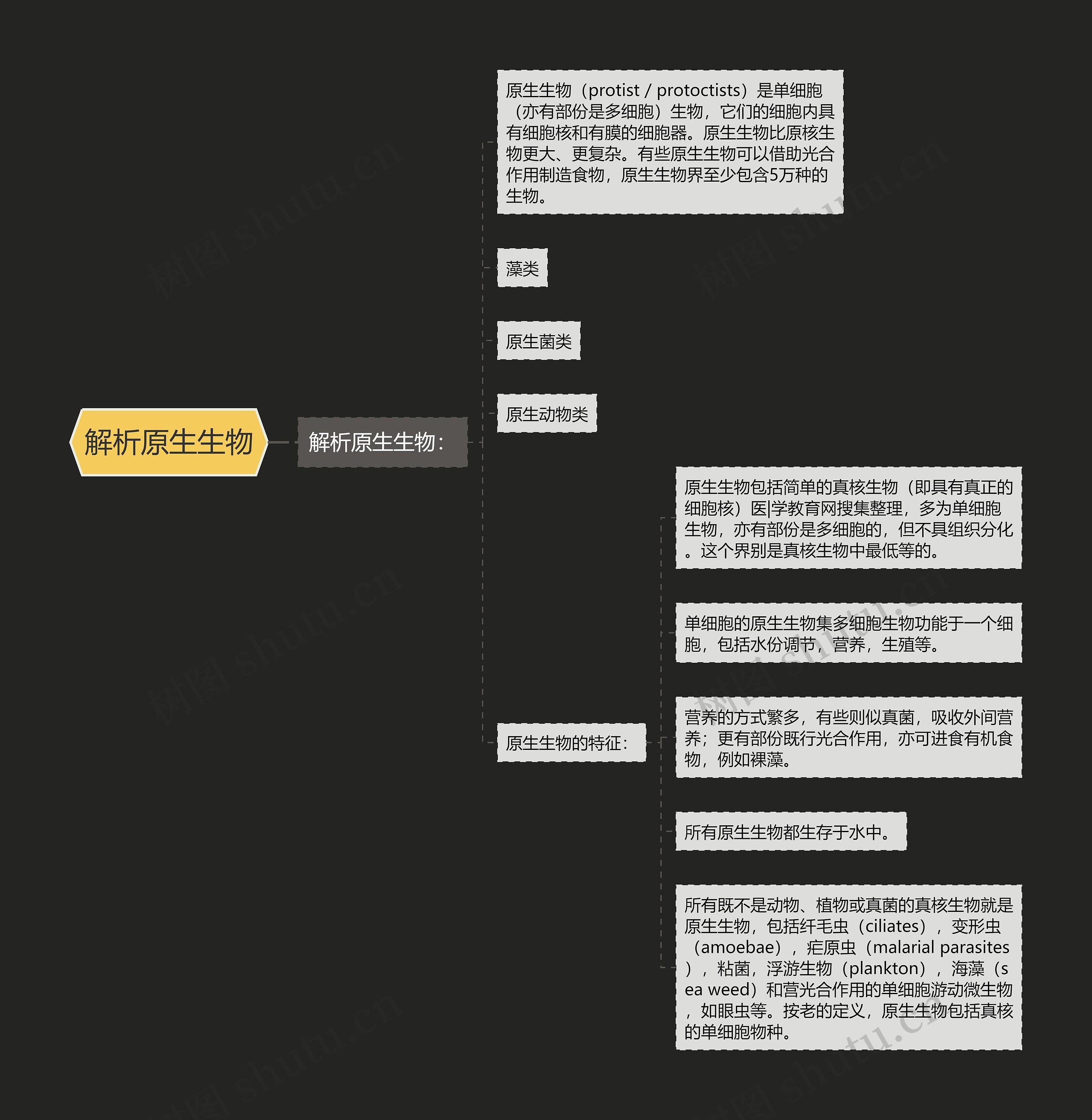 解析原生生物 解析原生生物