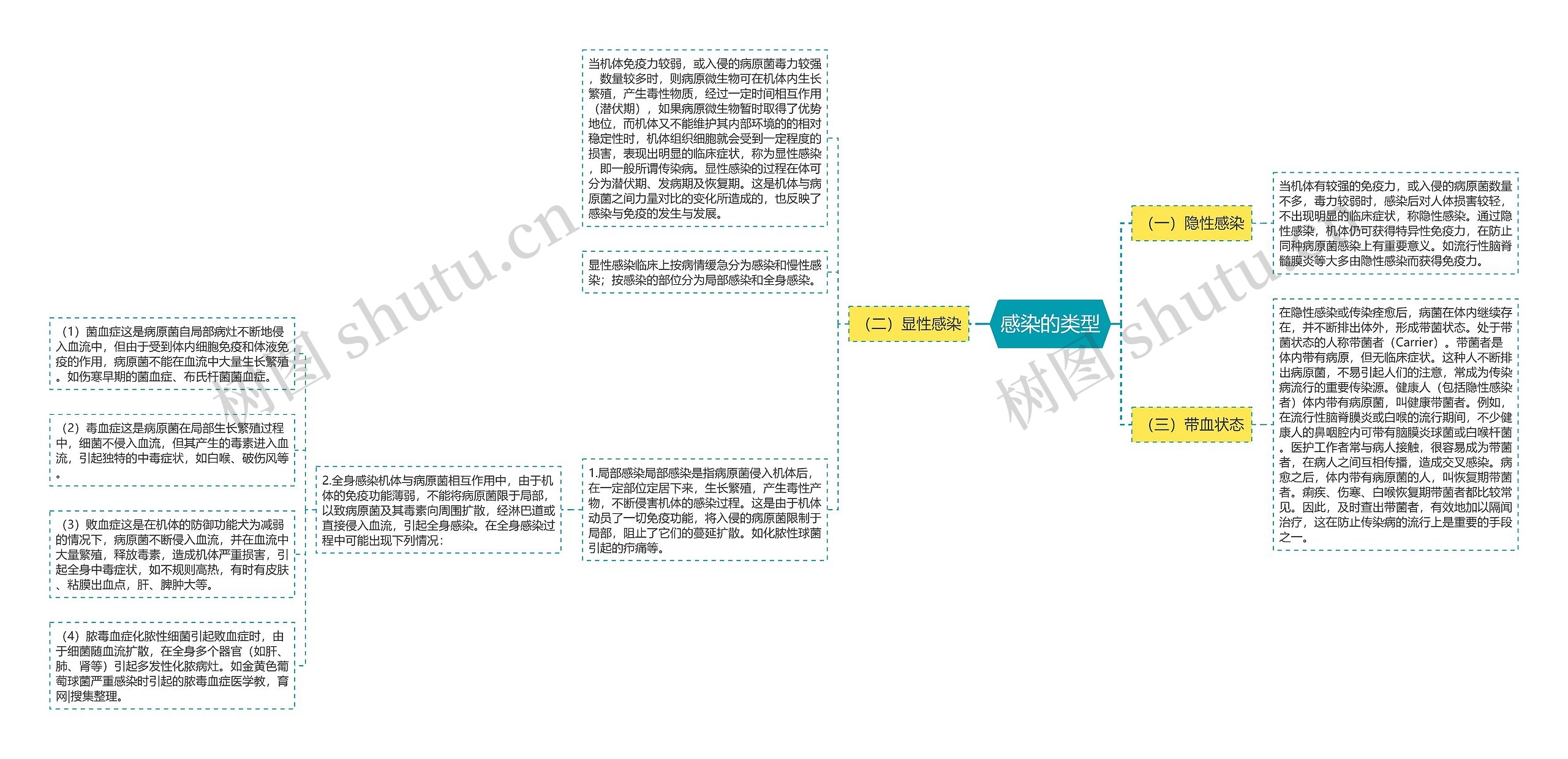 感染的类型 感染的类型