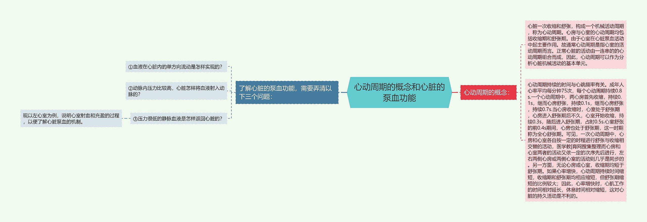 心动周期的概念和心脏的泵血功能思维导图