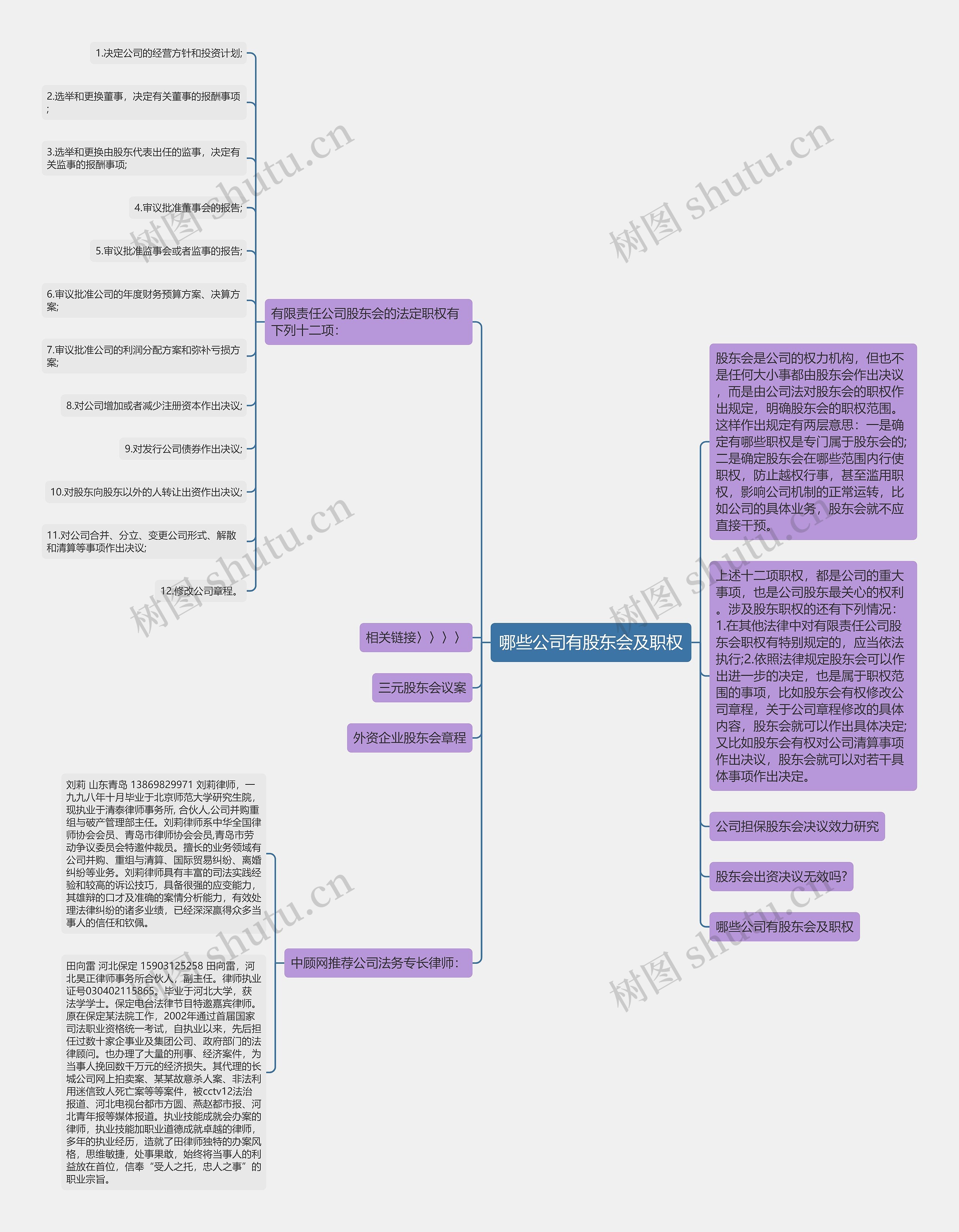 哪些公司有股东会及职权思维导图