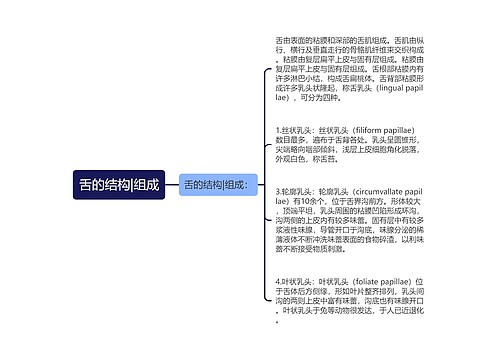 舌的结构|组成