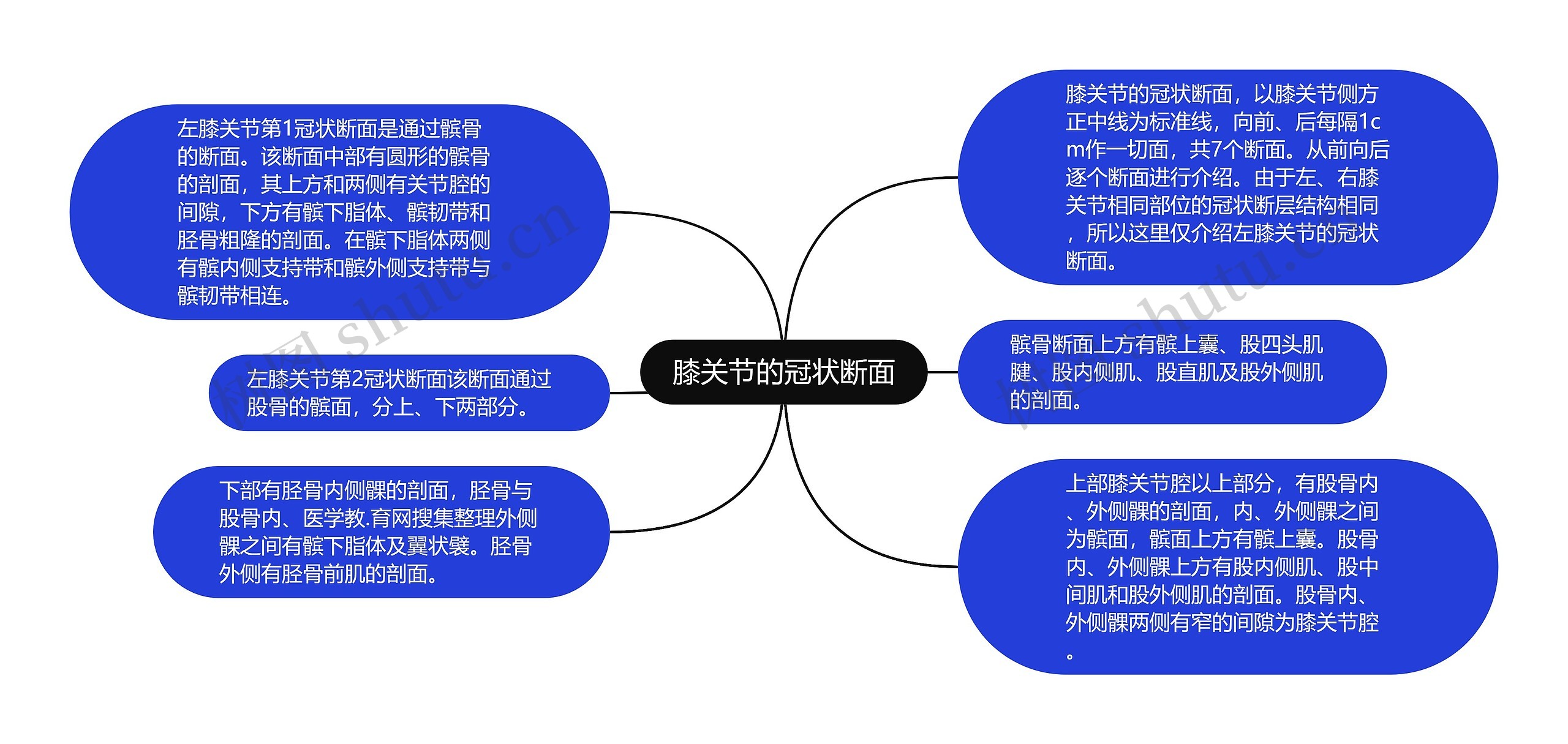 膝关节的冠状断面思维导图