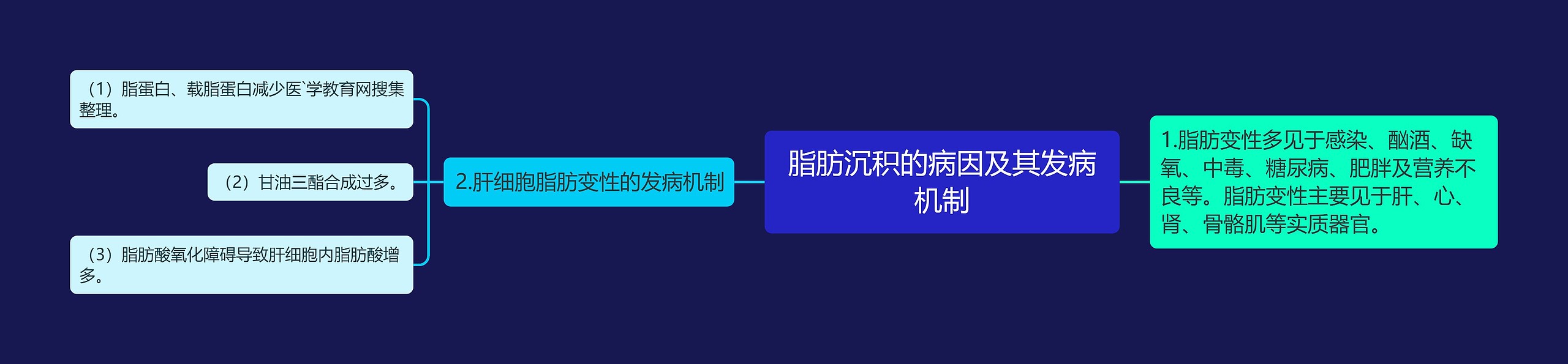 脂肪沉积的病因及其发病机制思维导图