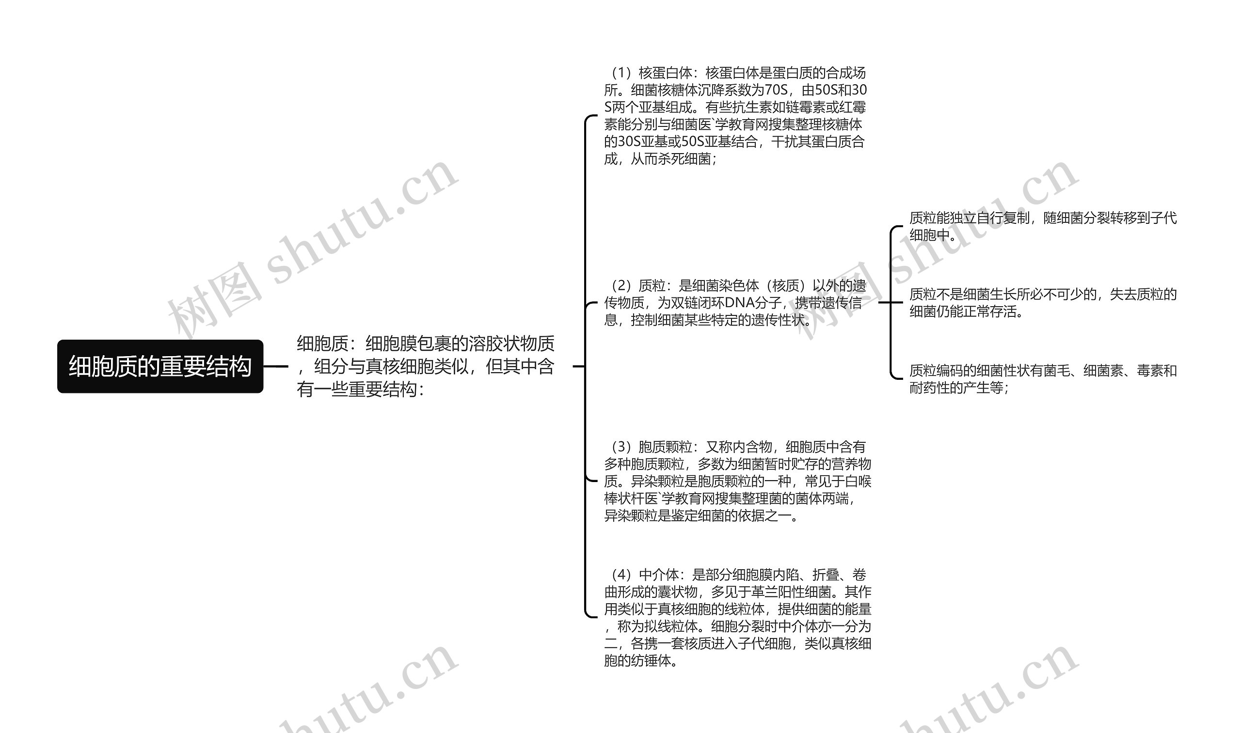 细胞质的重要结构思维导图