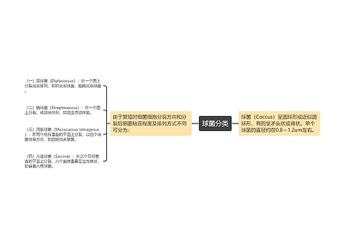 球菌分类