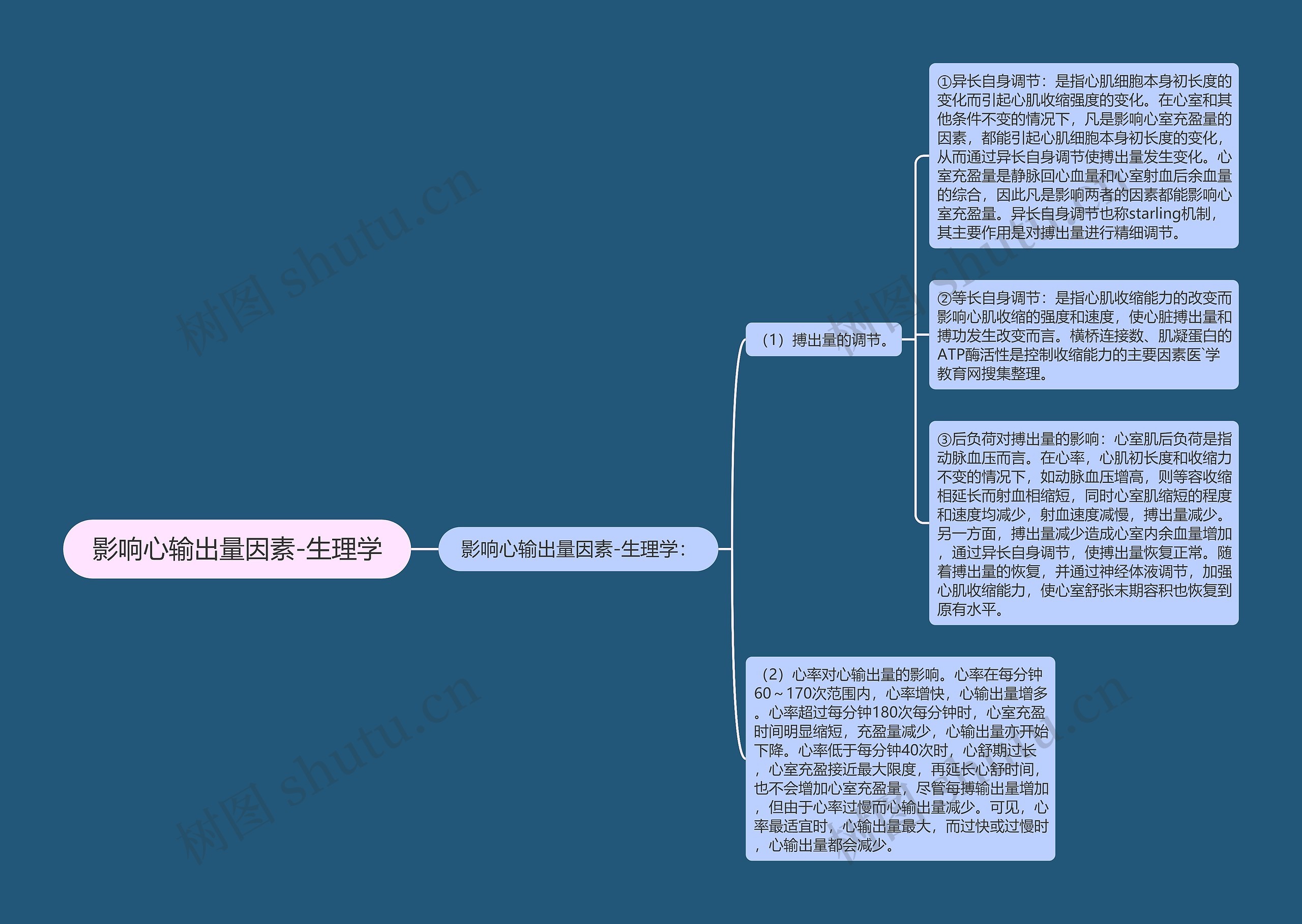 影响心输出量因素-生理学
