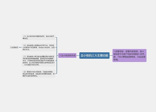 血小板的三大生理功能