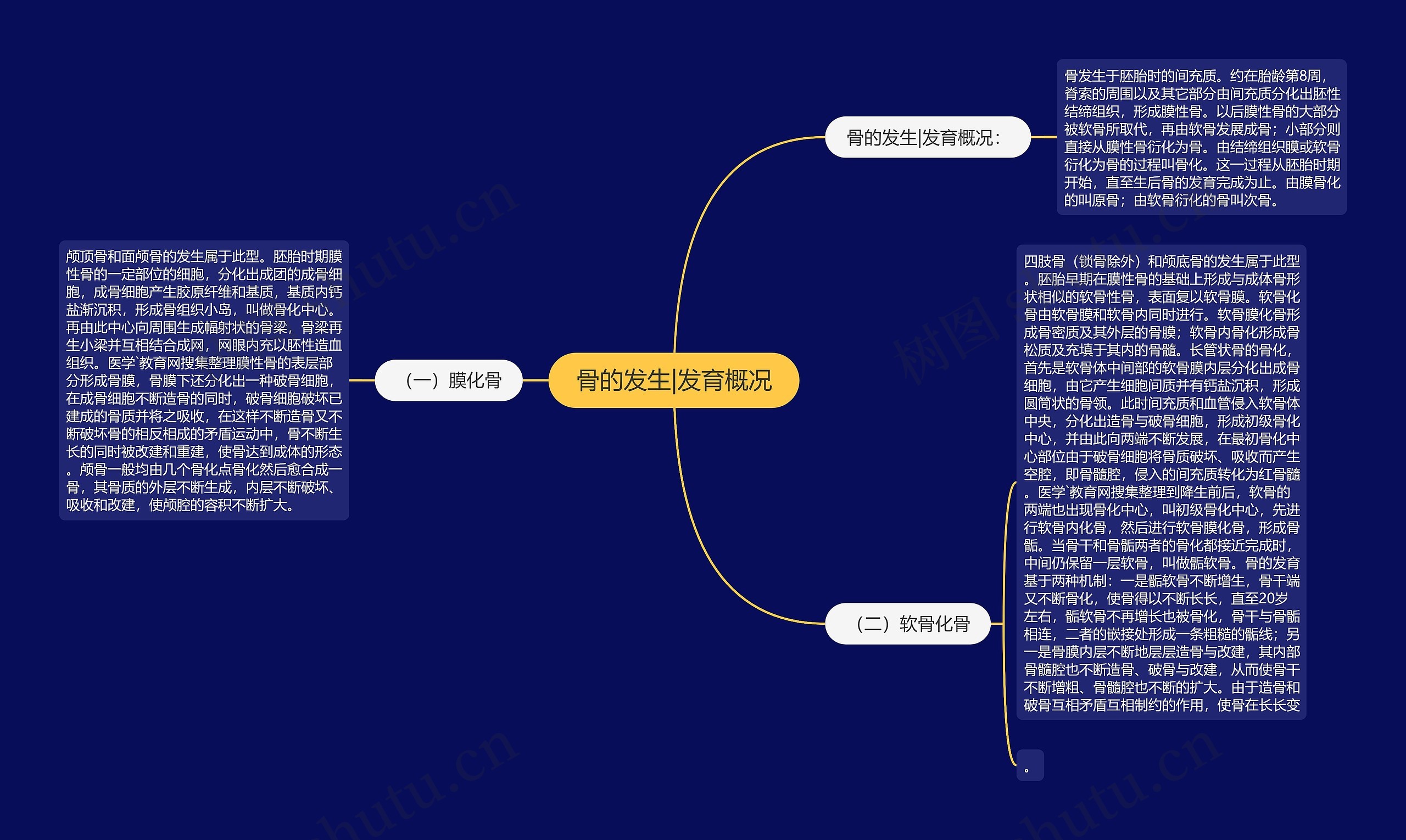 骨的发生|发育概况思维导图