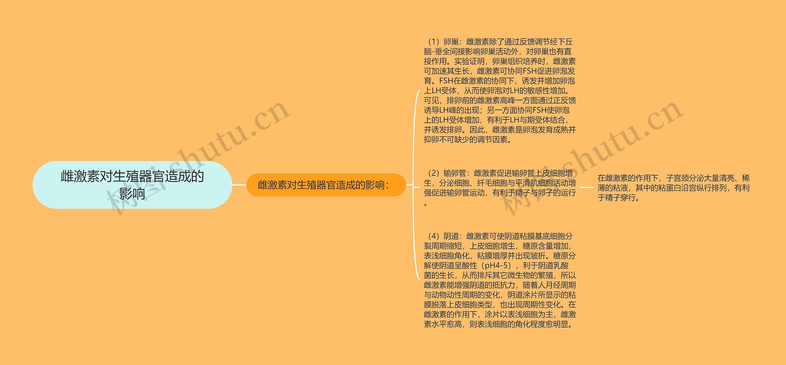 雌激素对生殖器官造成的影响 雌激素对生殖器官造成的影响