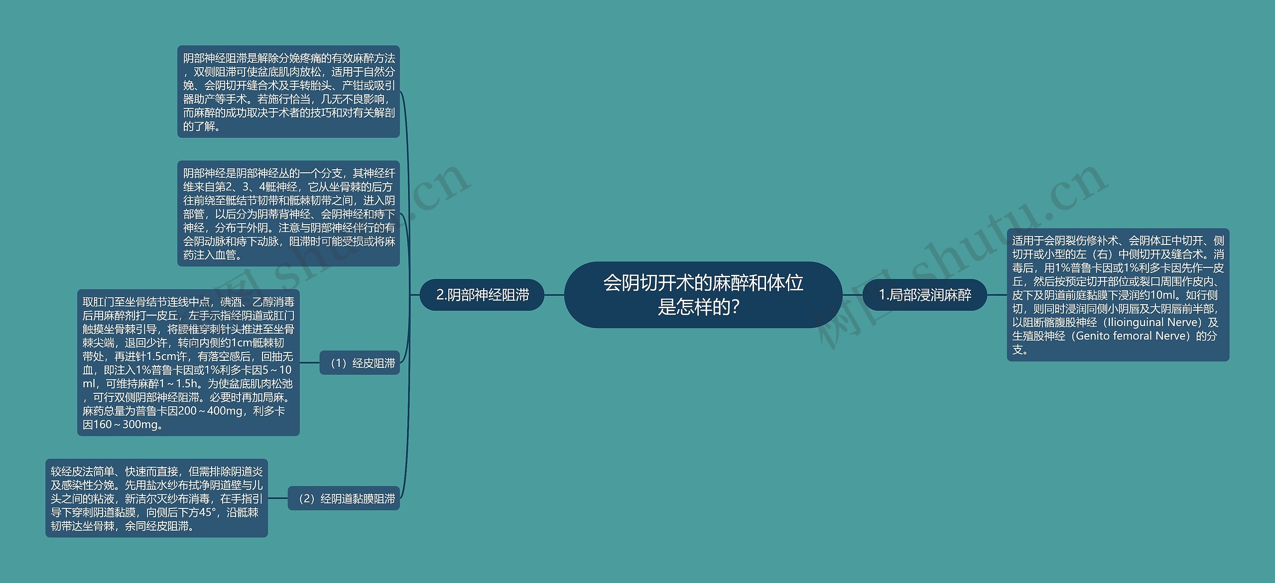 会阴切开术的麻醉和体位是怎样的？思维导图