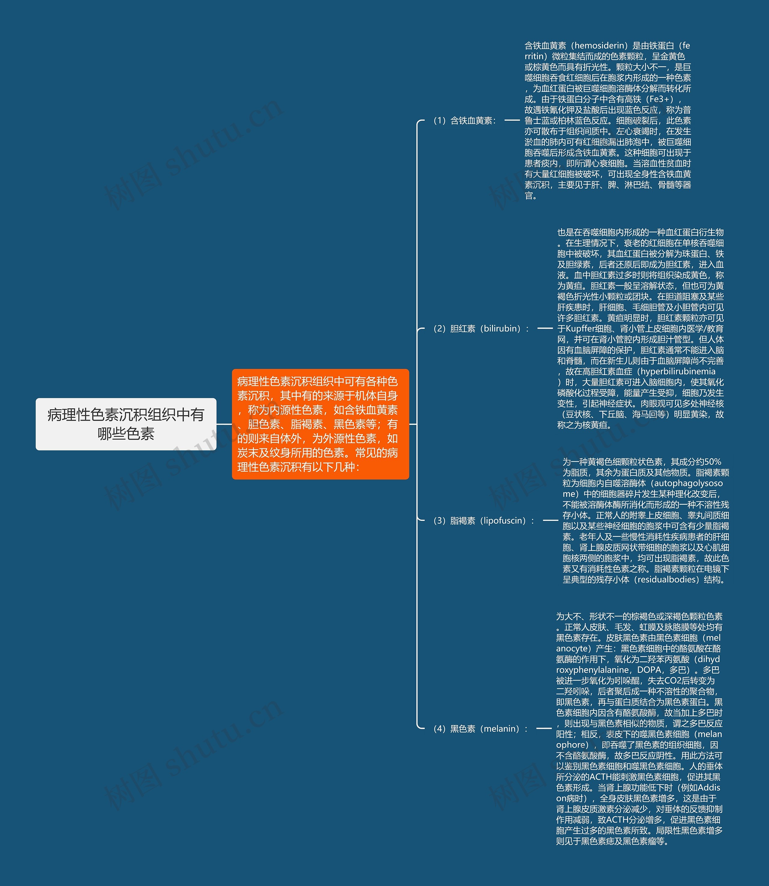 病理性色素沉积组织中有哪些色素思维导图