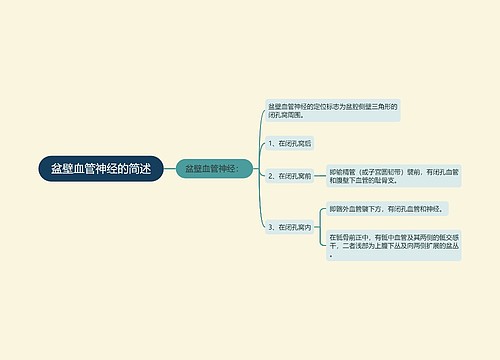 盆壁血管神经的简述