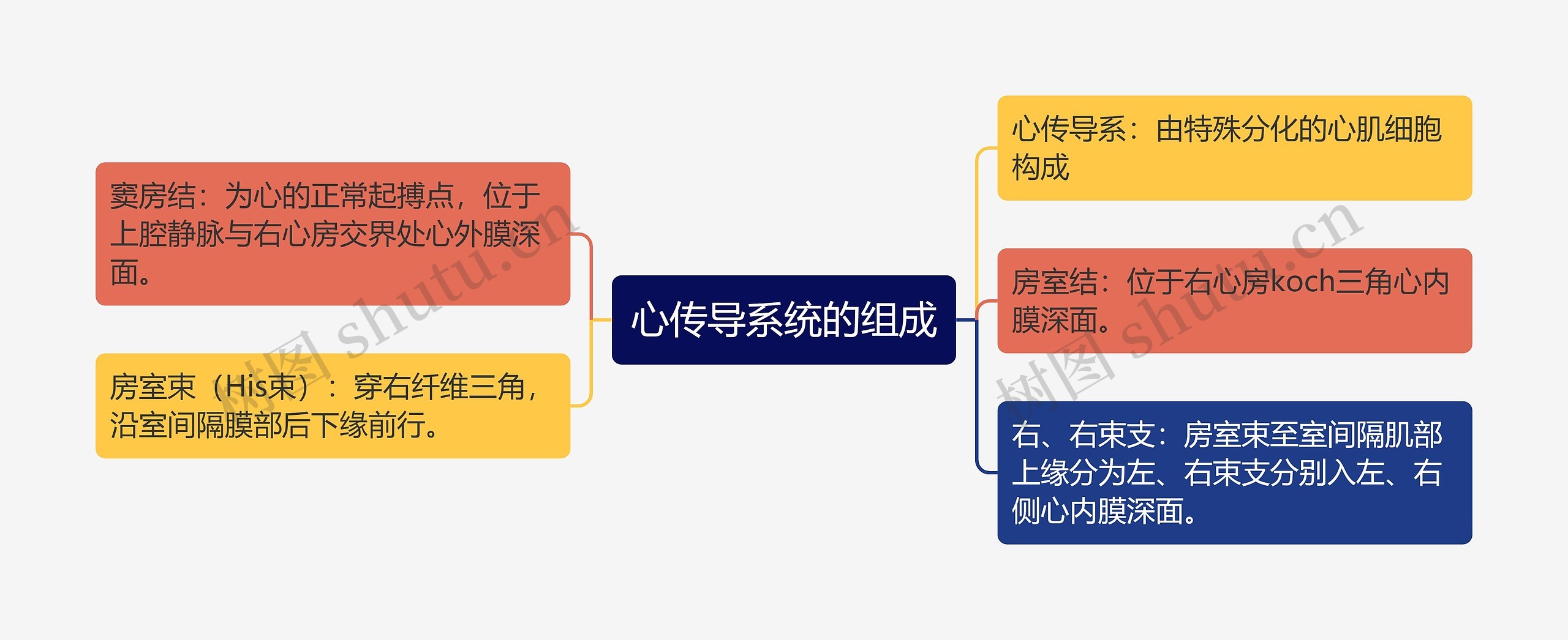 心传导系统的组成