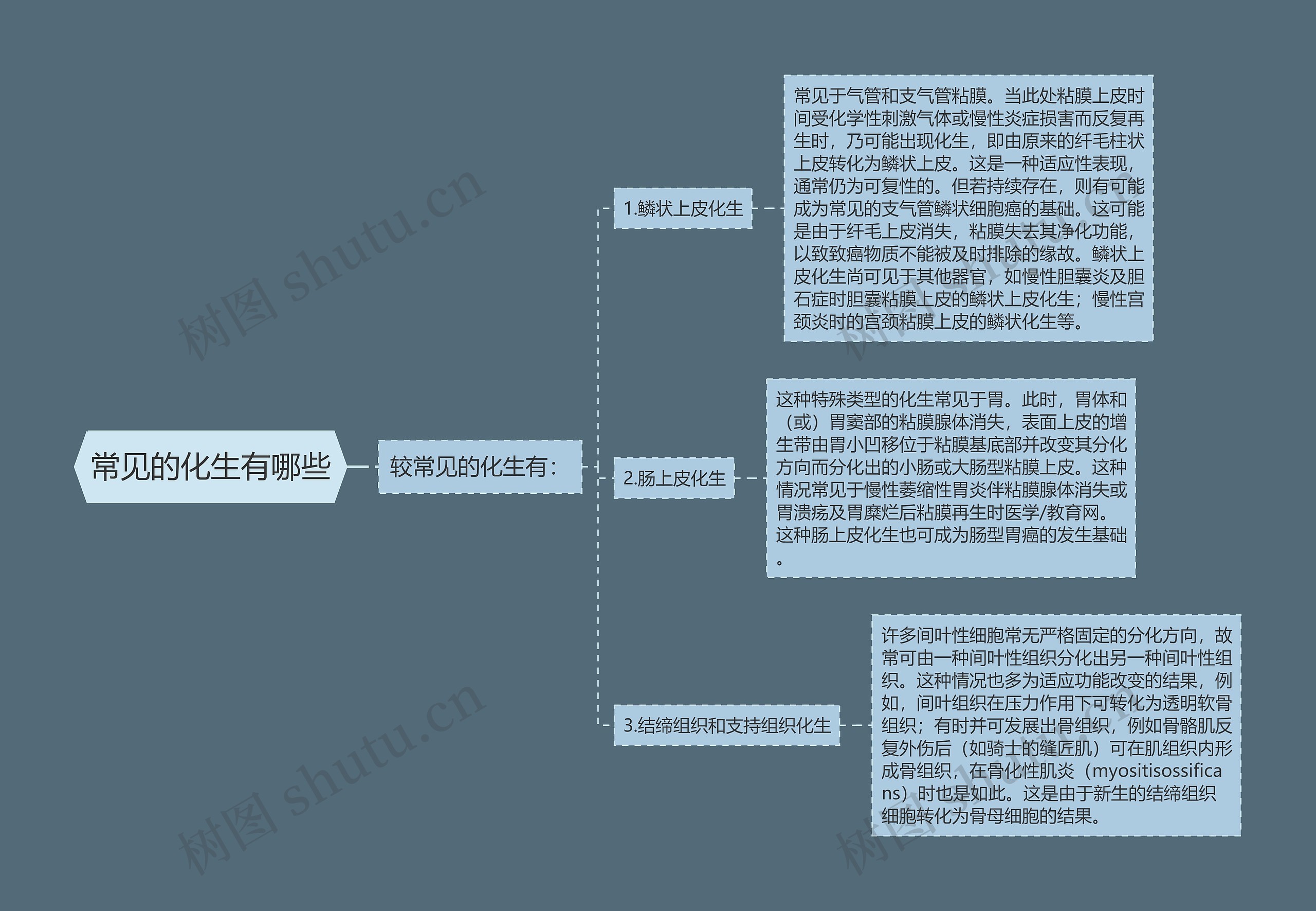 常见的化生有哪些思维导图