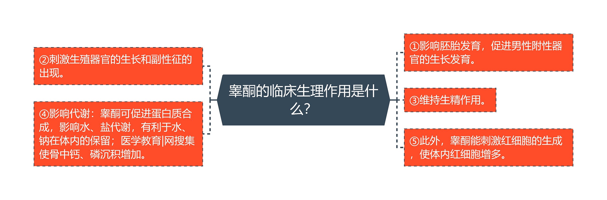睾酮的临床生理作用是什么? 睾酮的临床生理作用是什么?