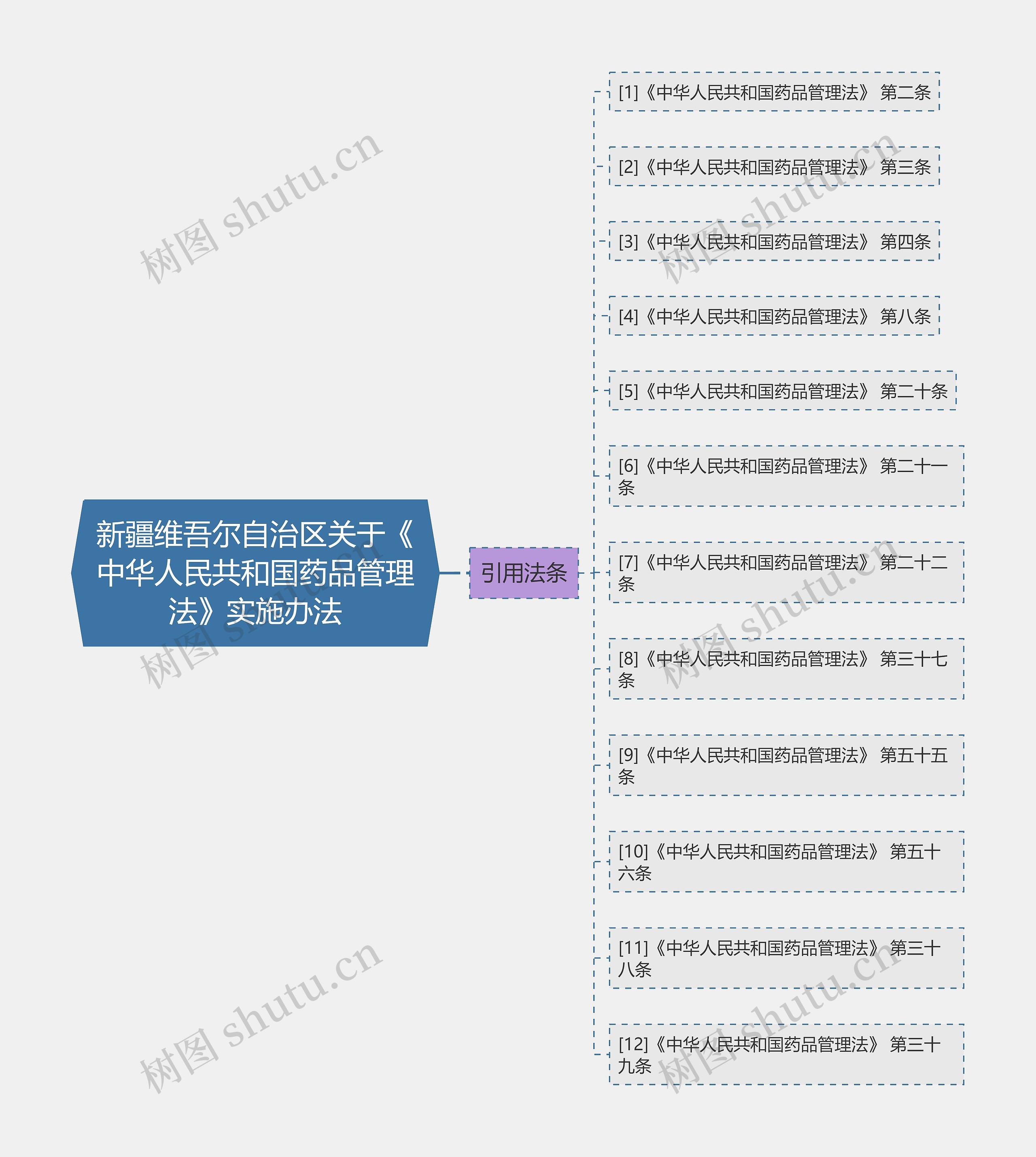 新疆维吾尔自治区关于《中华人民共和国药品管理法》实施办法思维导图