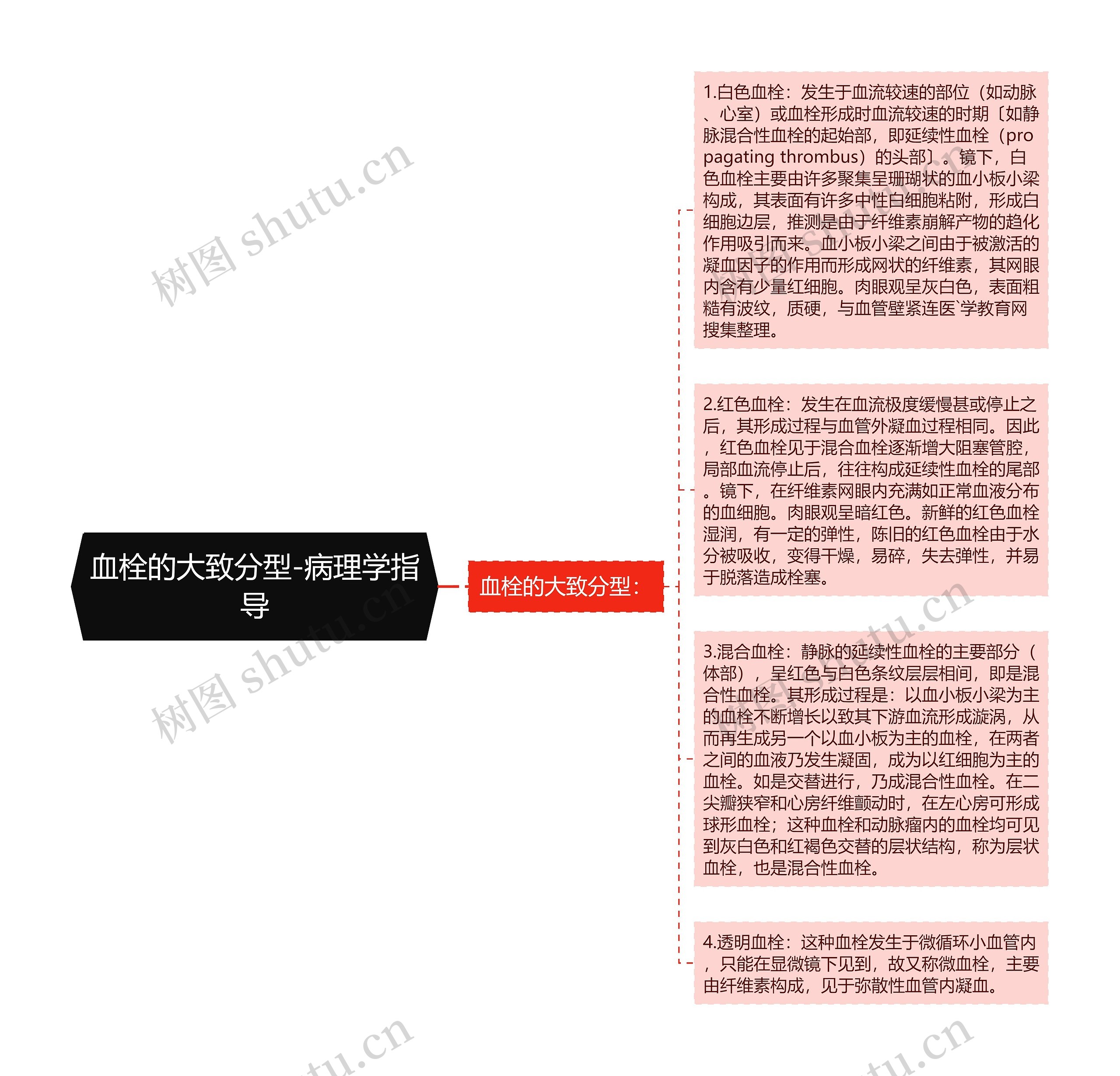 血栓的大致分型-病理学指导思维导图