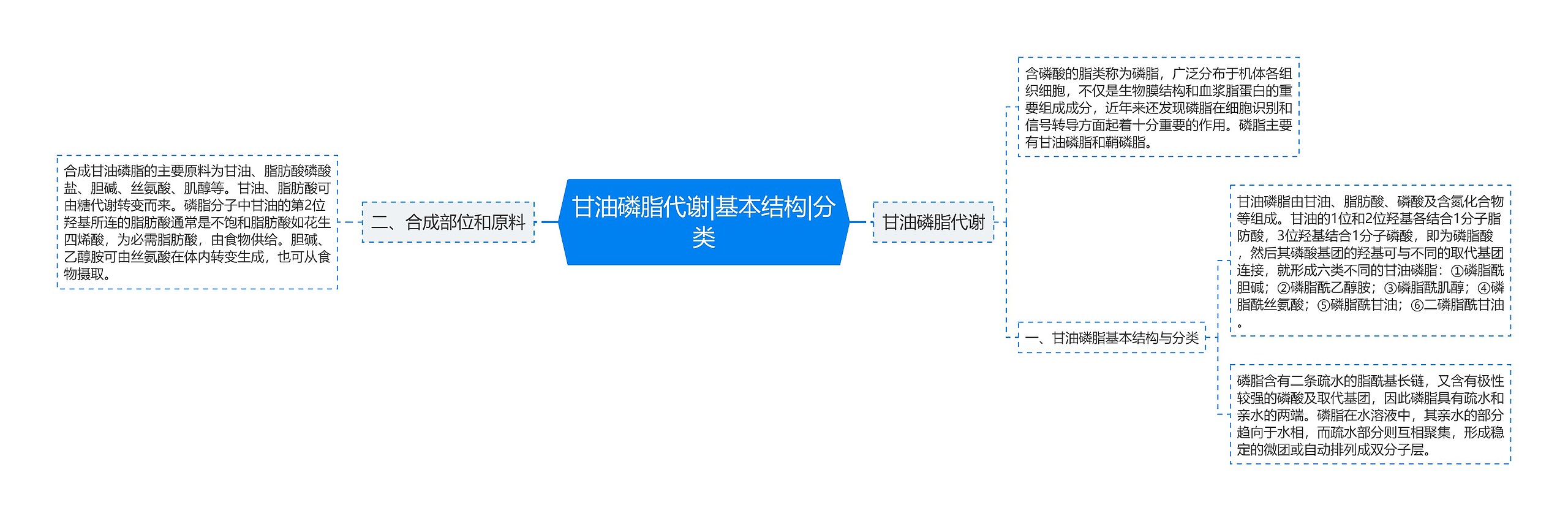 甘油磷脂代谢|基本结构|分类思维导图