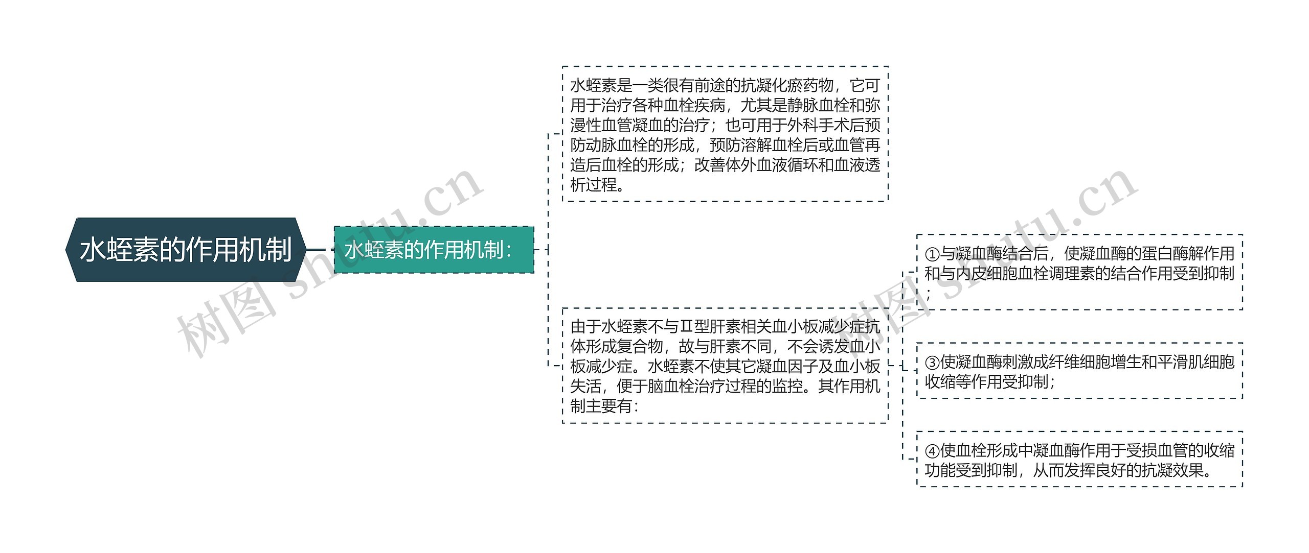 水蛭素的作用机制思维导图