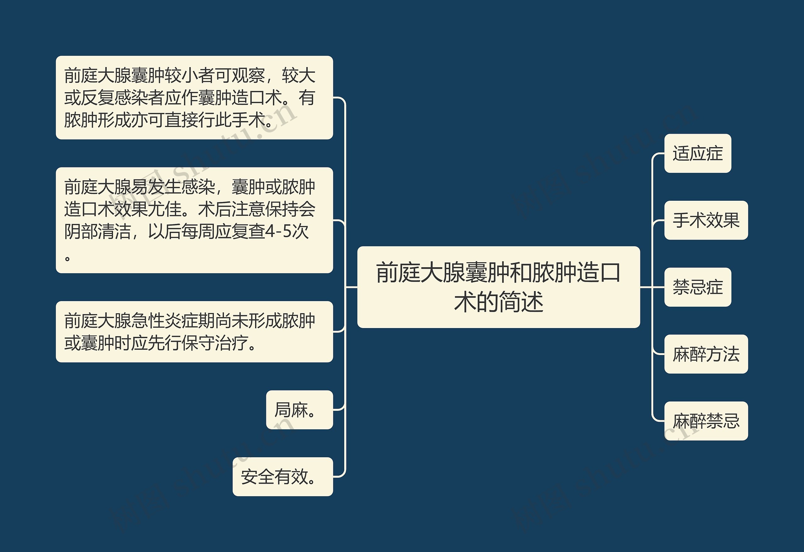 前庭大腺囊肿和脓肿造口术的简述思维导图