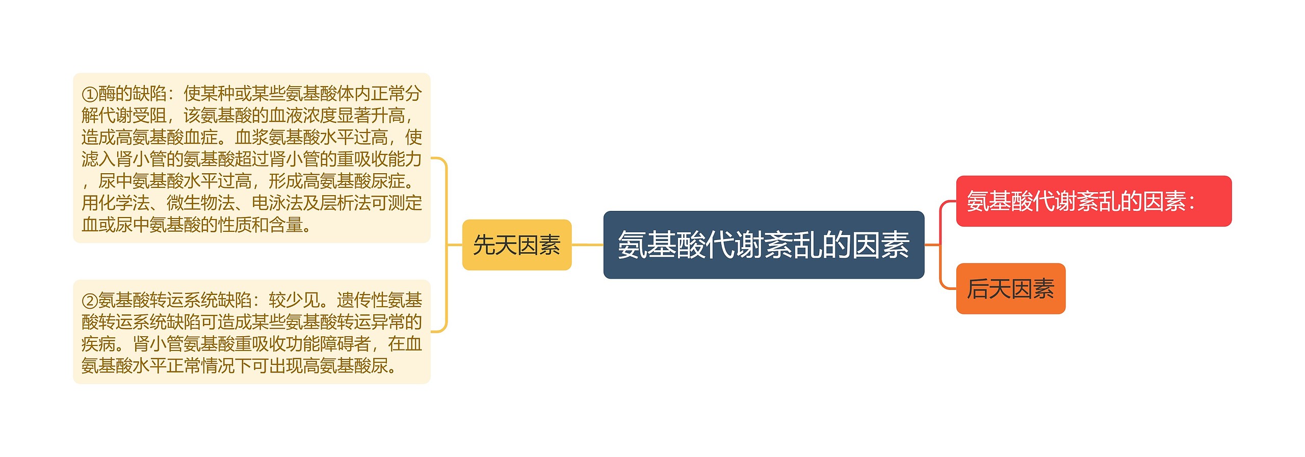 氨基酸代谢紊乱的因素思维导图