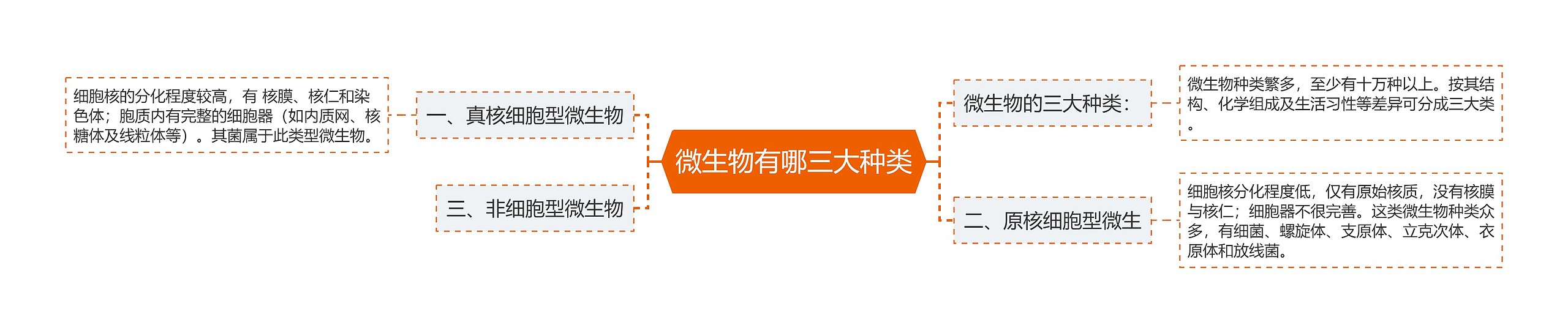 微生物有哪三大种类 微生物有哪三大种类