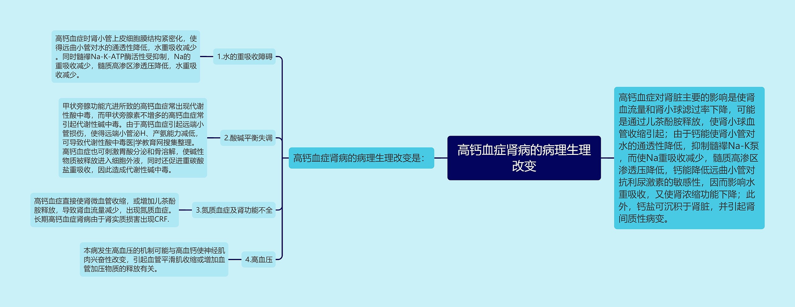 高钙血症肾病的病理生理改变