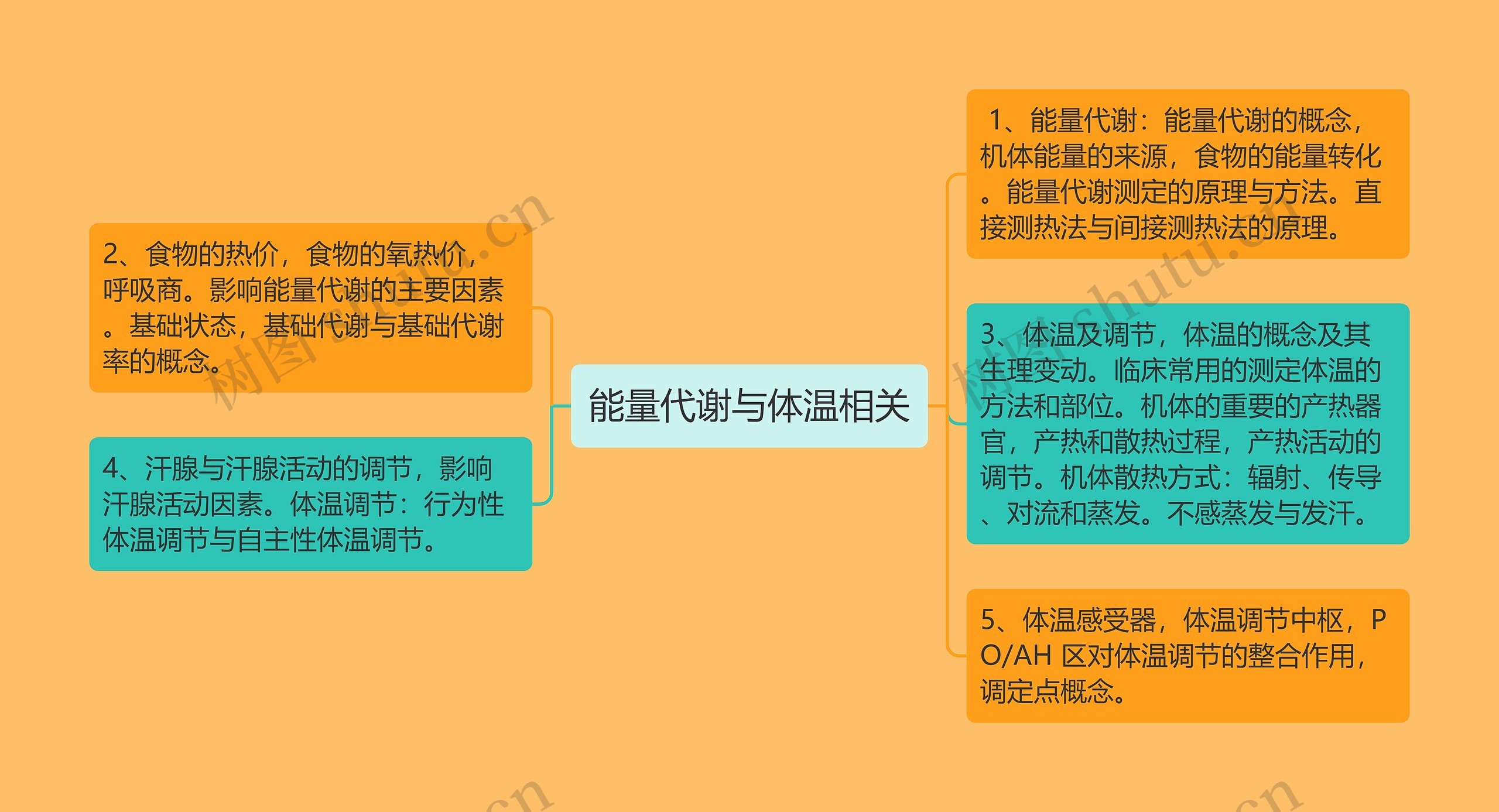 能量代谢与体温相关思维导图