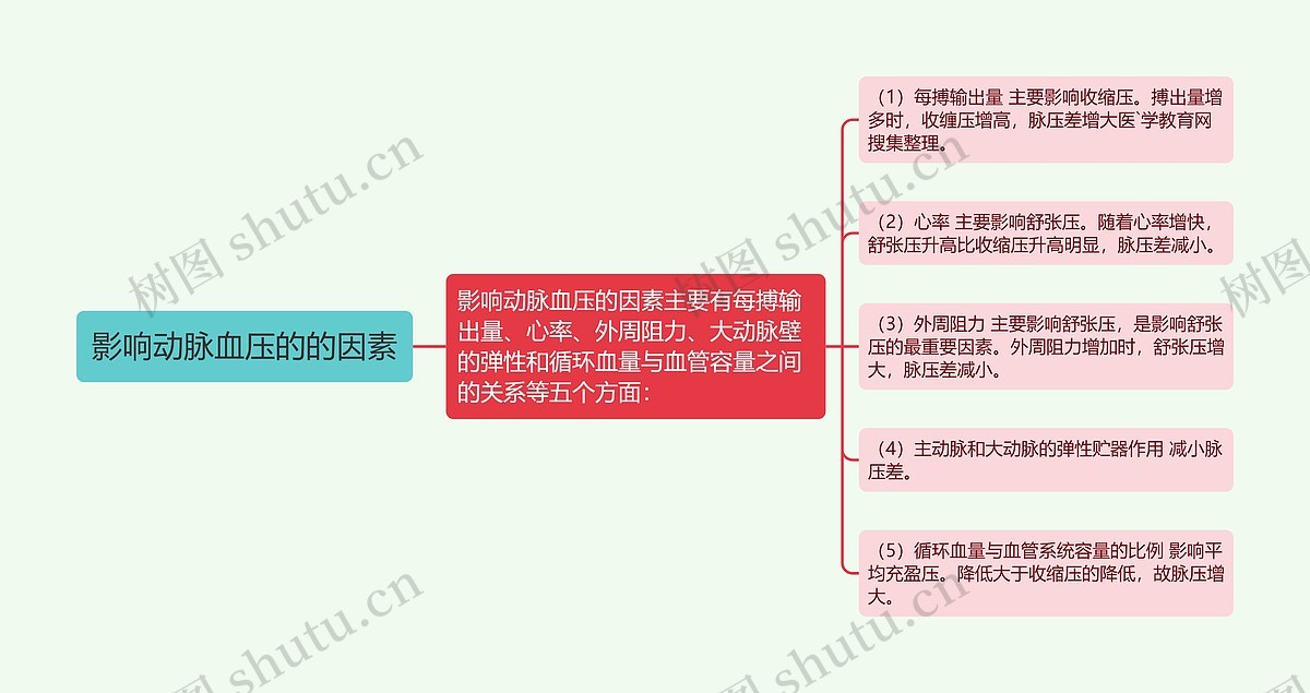 影响动脉血压的的因素思维导图_编号p7568164-TreeMind树图