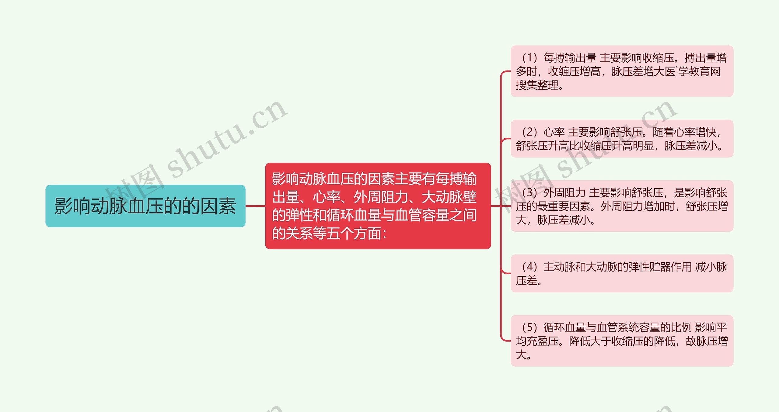 影响动脉血压的的因素