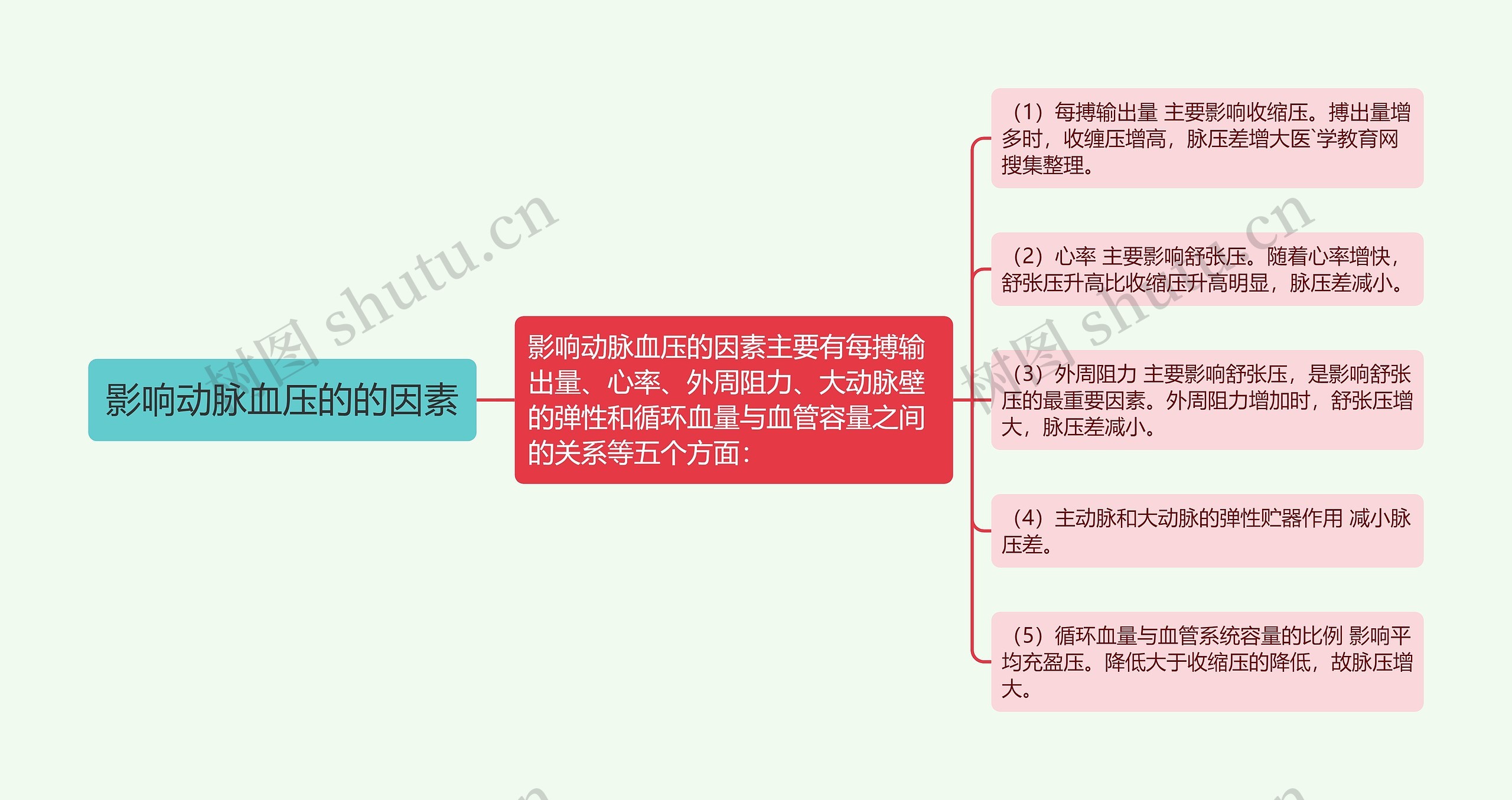 影响动脉血压的的因素思维导图
