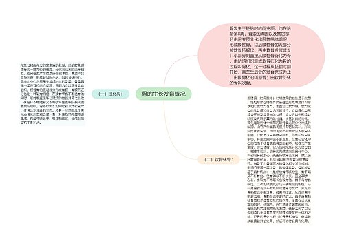 骨的生长发育概况