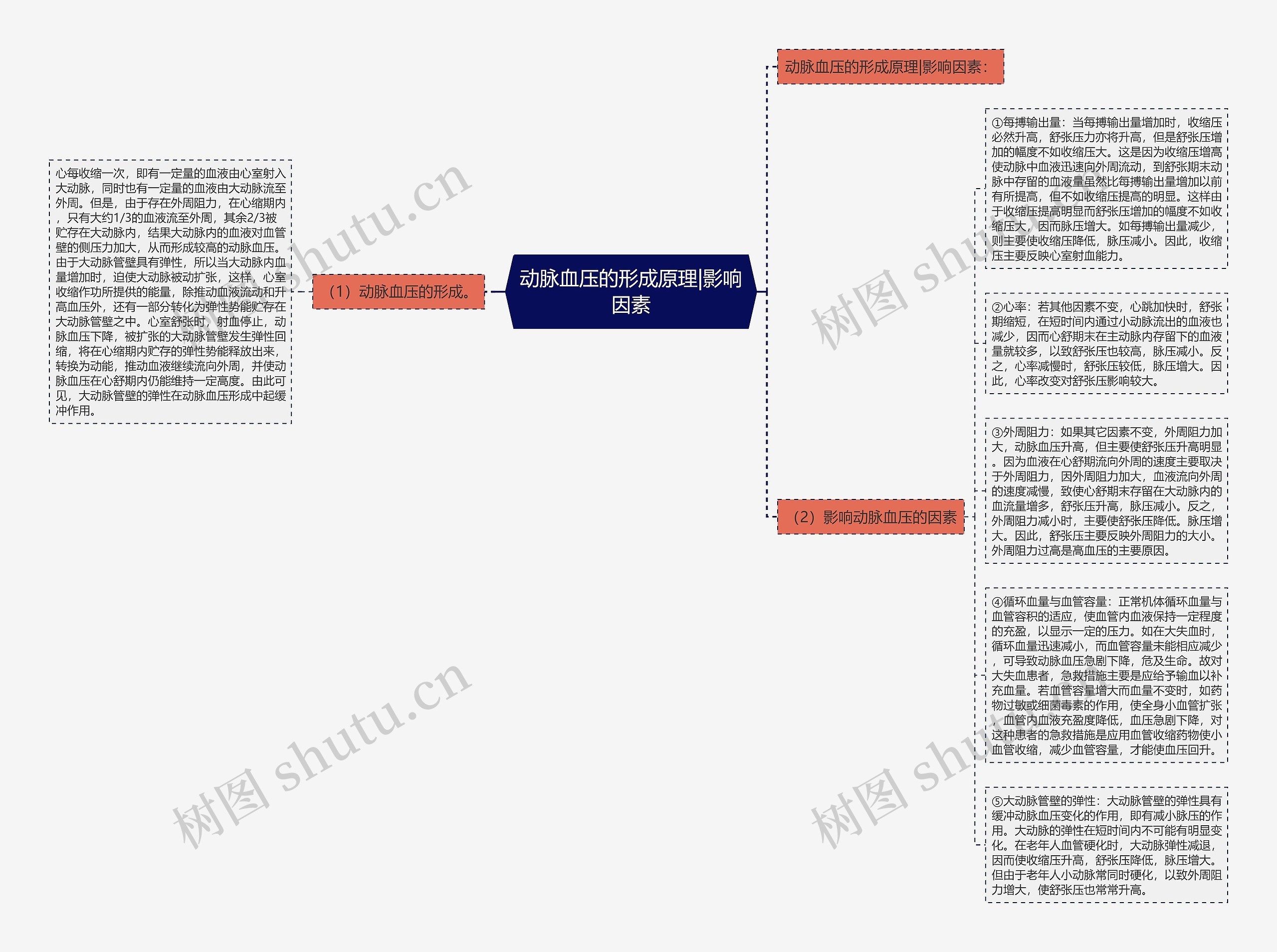 动脉血压的形成原理|影响因素思维导图