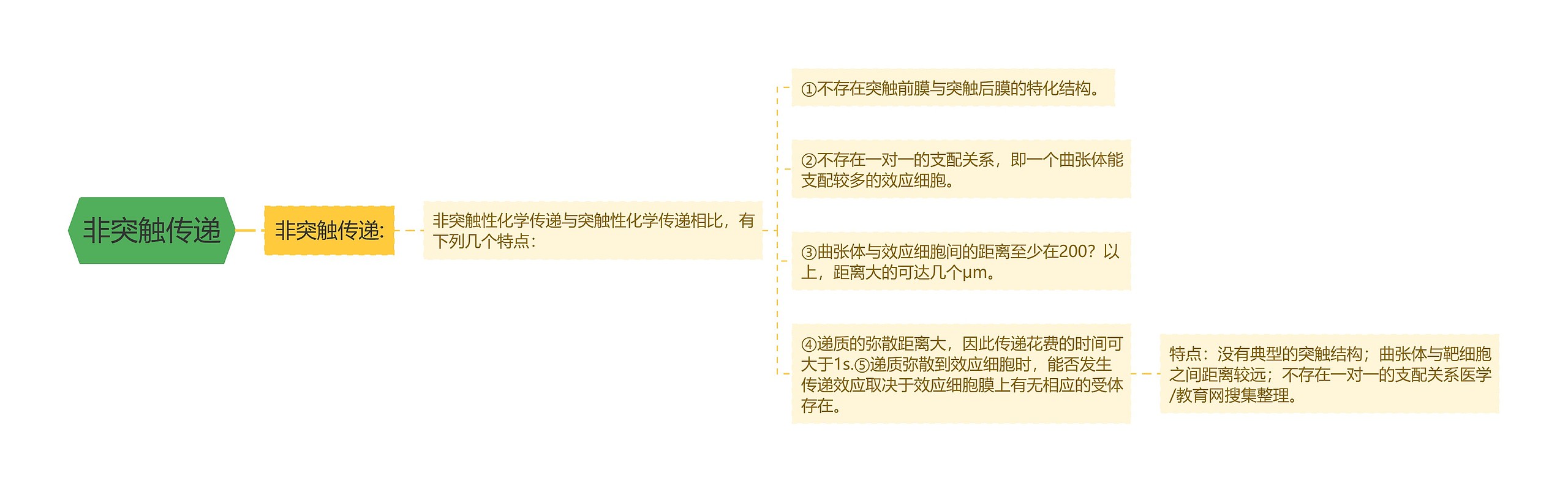 非突触传递思维导图