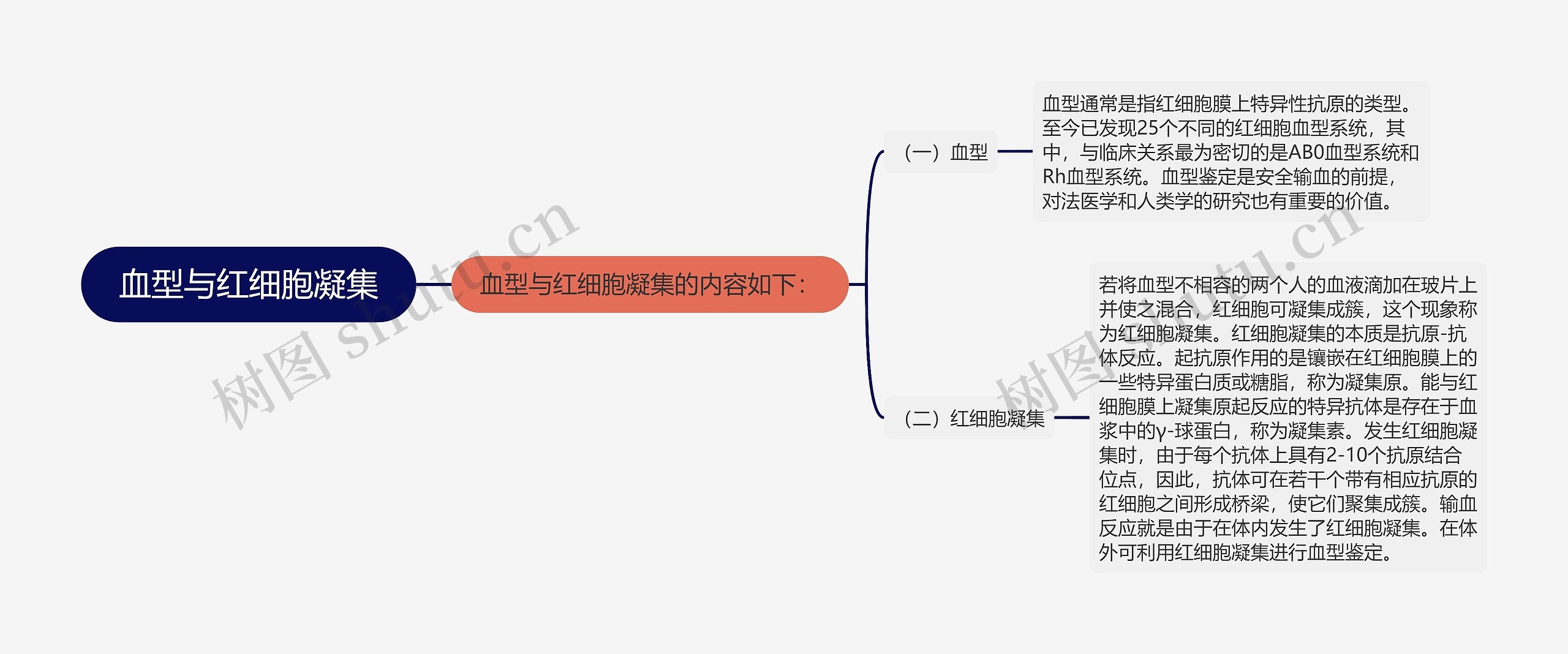 血型与红细胞凝集思维导图